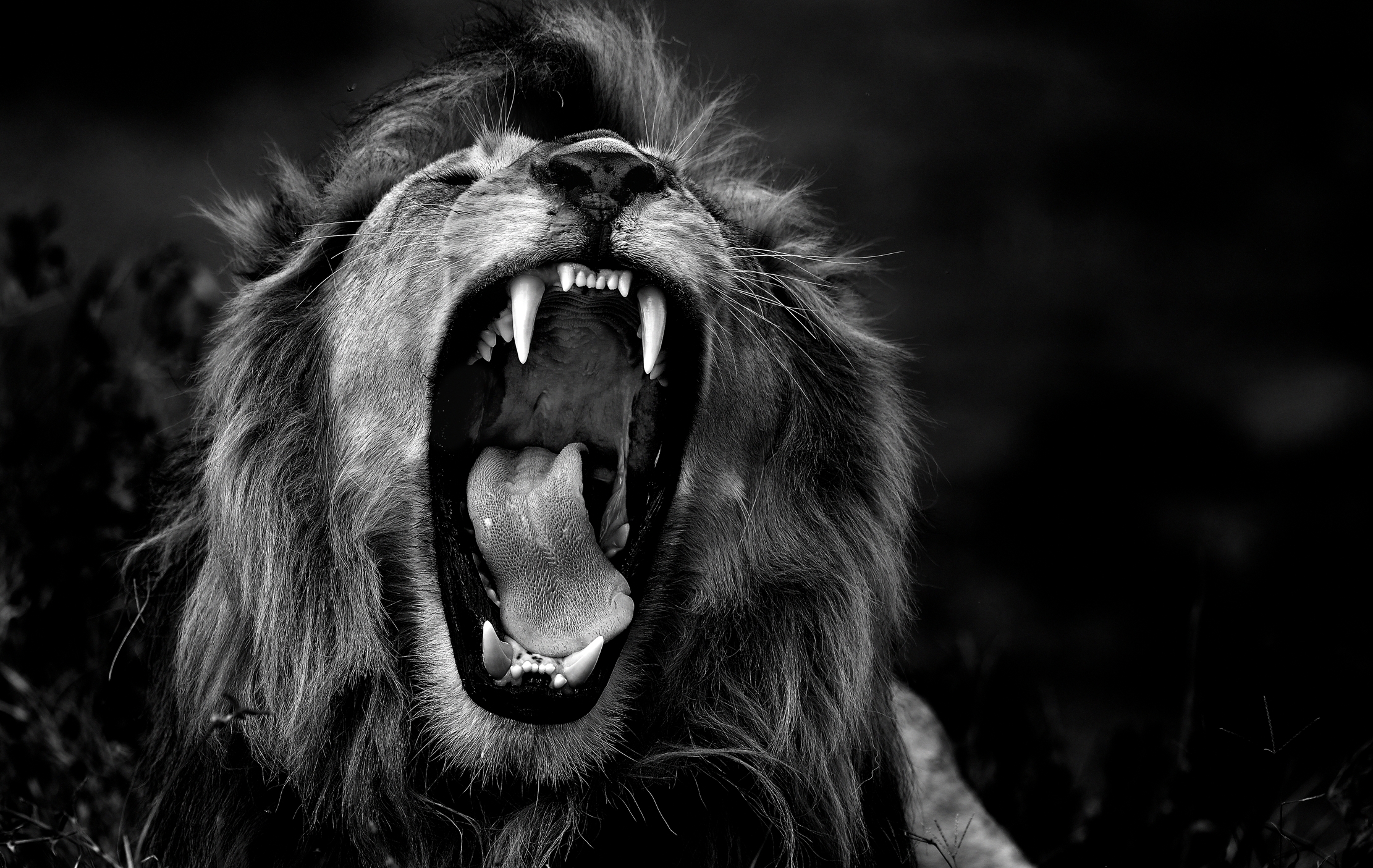 Tanzania 2015 - B & W