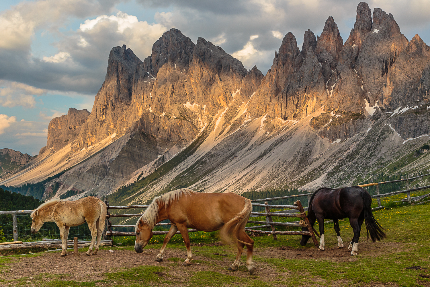 Cavalli sotto le Odle, Val di Funes