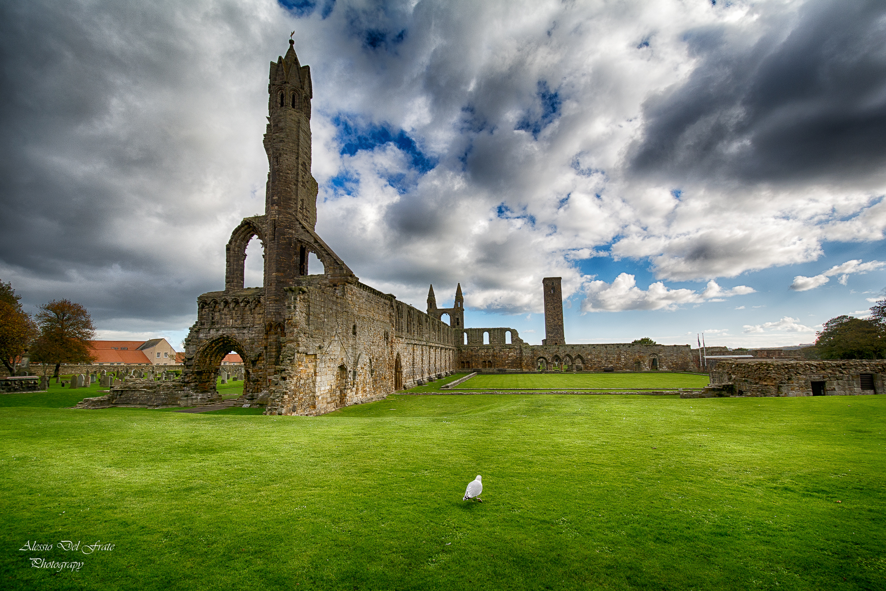 The mystical dance of the Seagull (S.Andrew Cathedral)