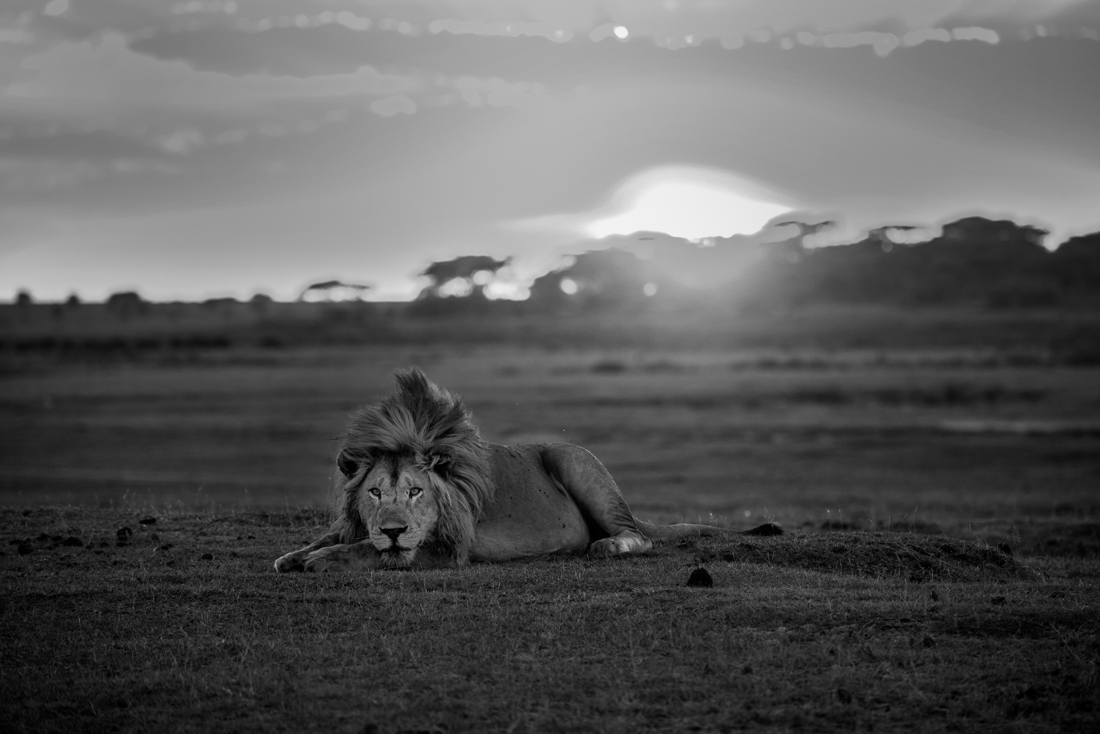 Tanzania 2015 - B & W