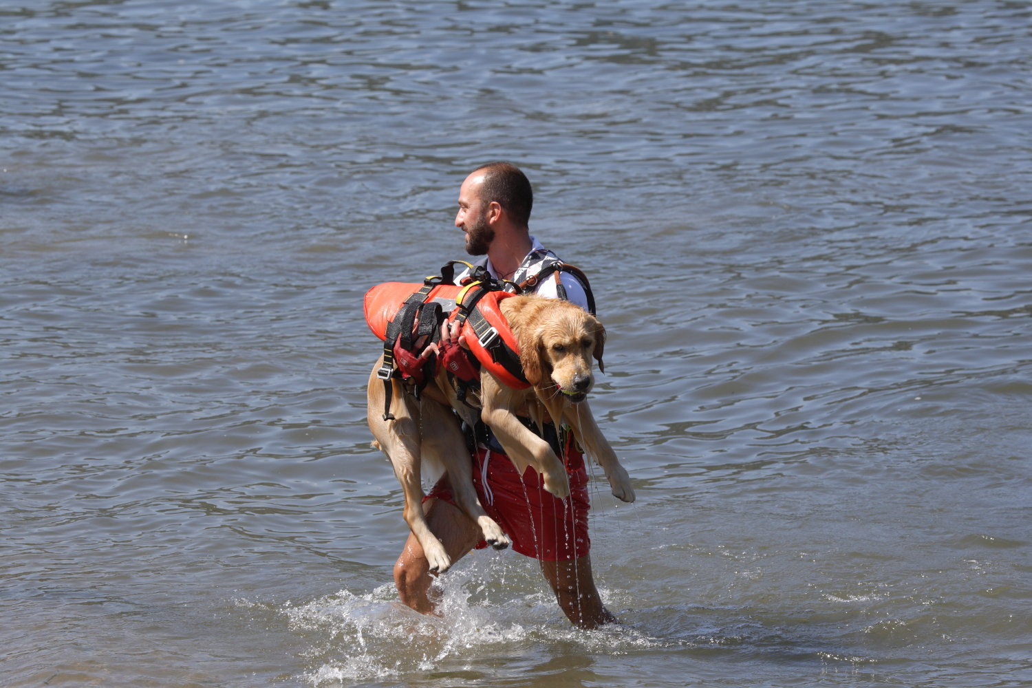 SAR search and rescue a Como