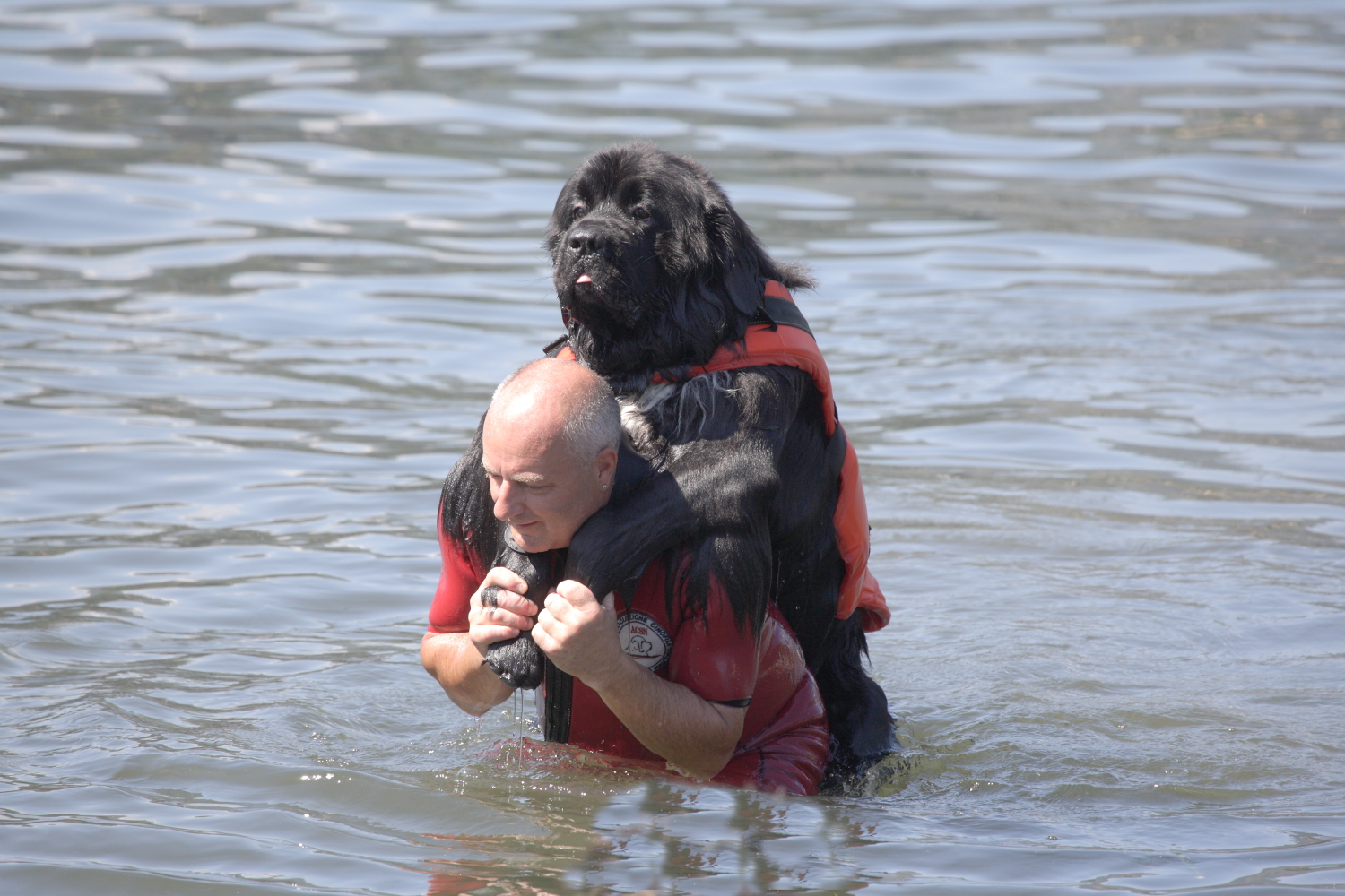 SAR search and rescue a Como