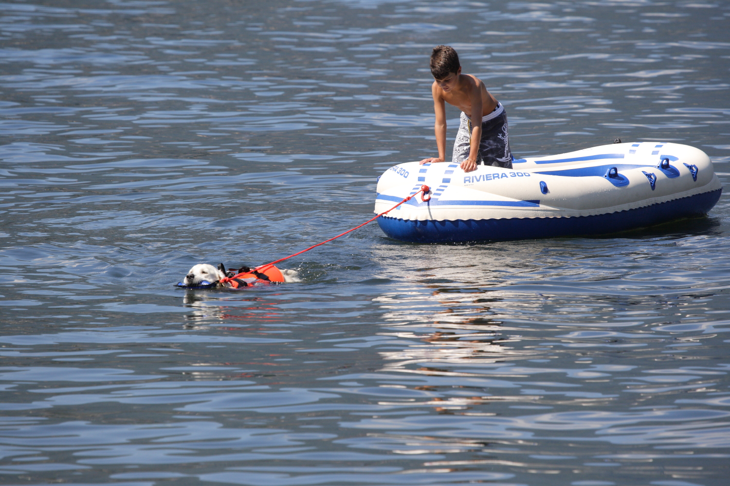 SAR search and rescue a Como