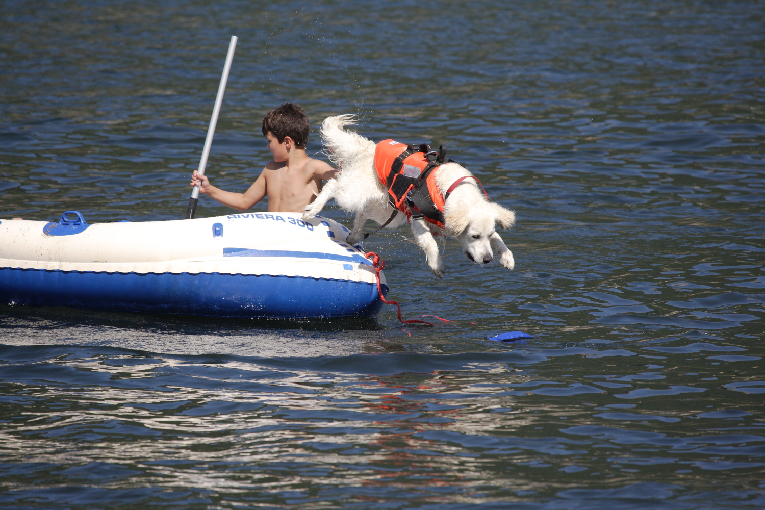 SAR search and rescue a Como