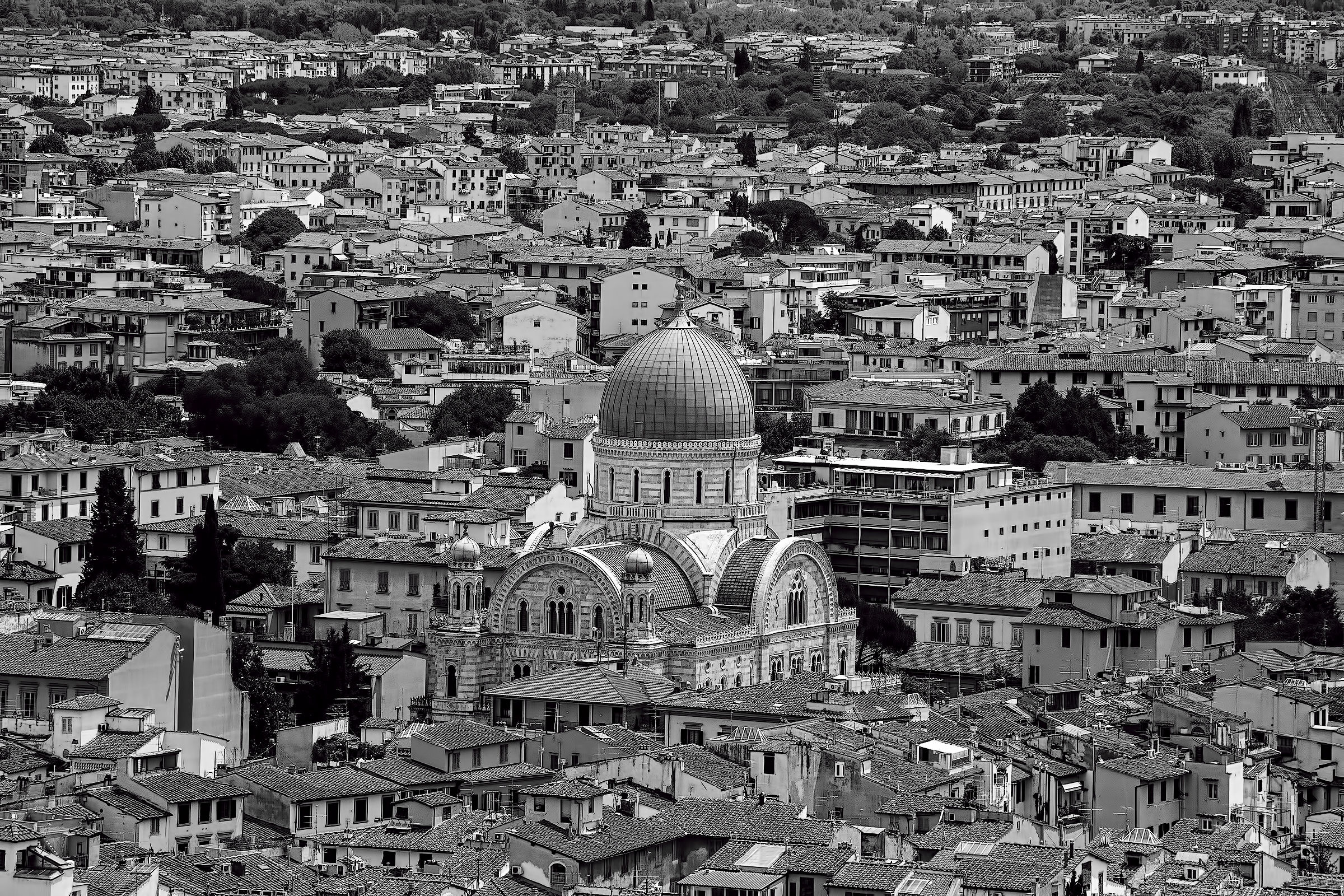 The Synagogue and the roofs of Florence