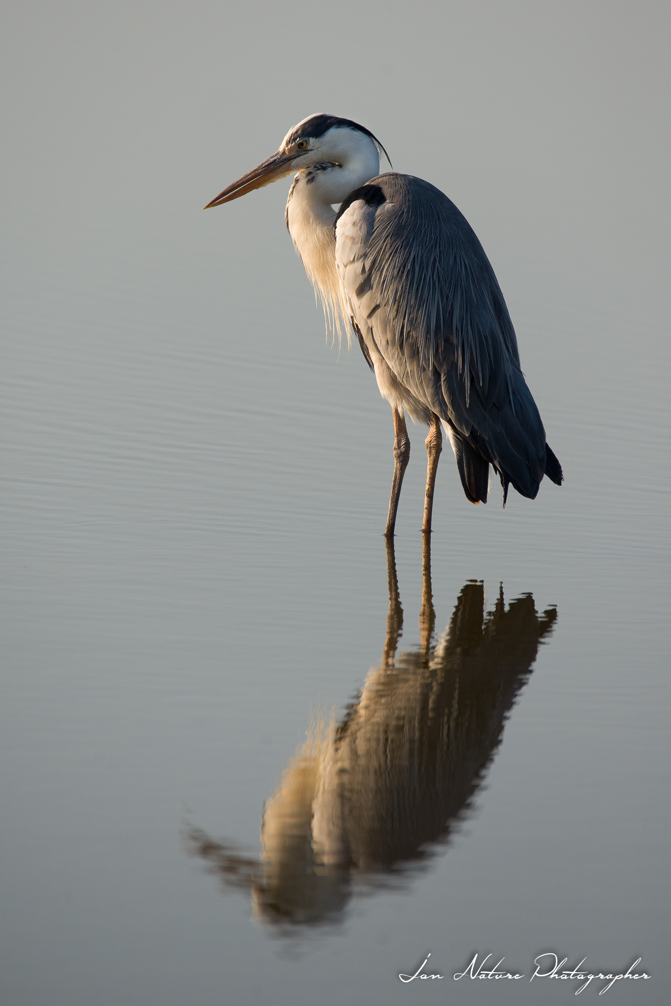 Andando incontro alla sera...