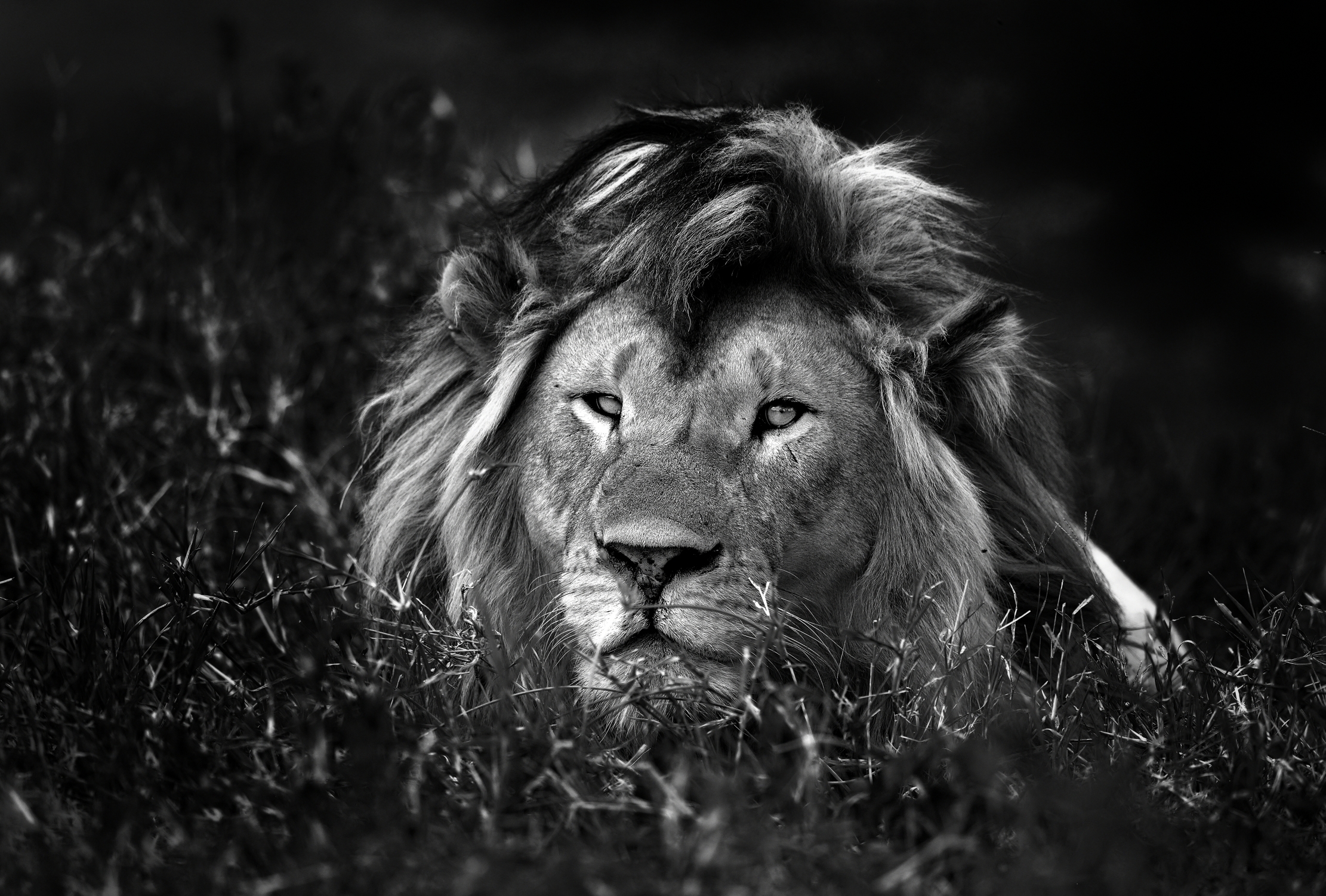 Tanzania 2015 - B & W