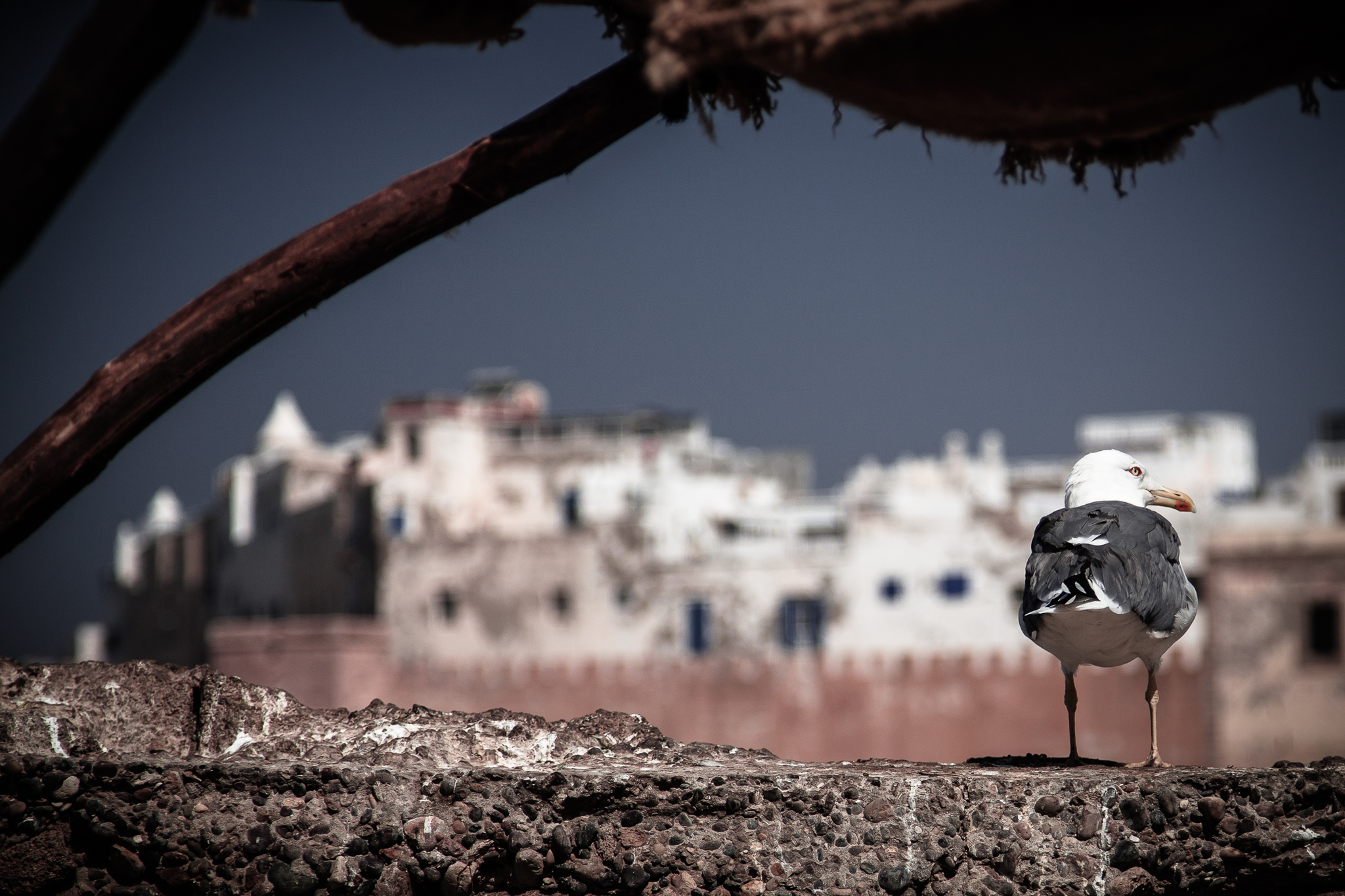 Beh? Cosa sta arrivando?