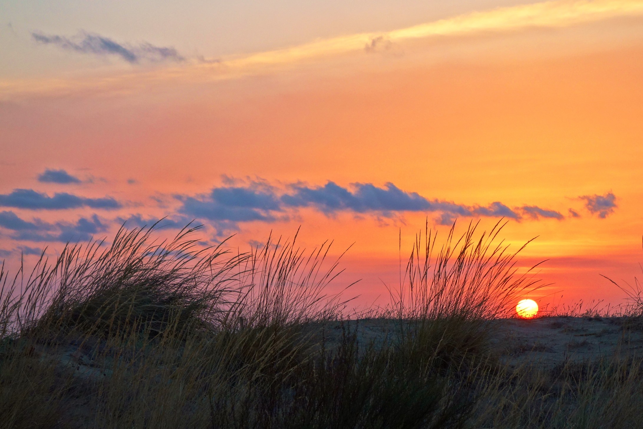 Good morning starts in the morning.