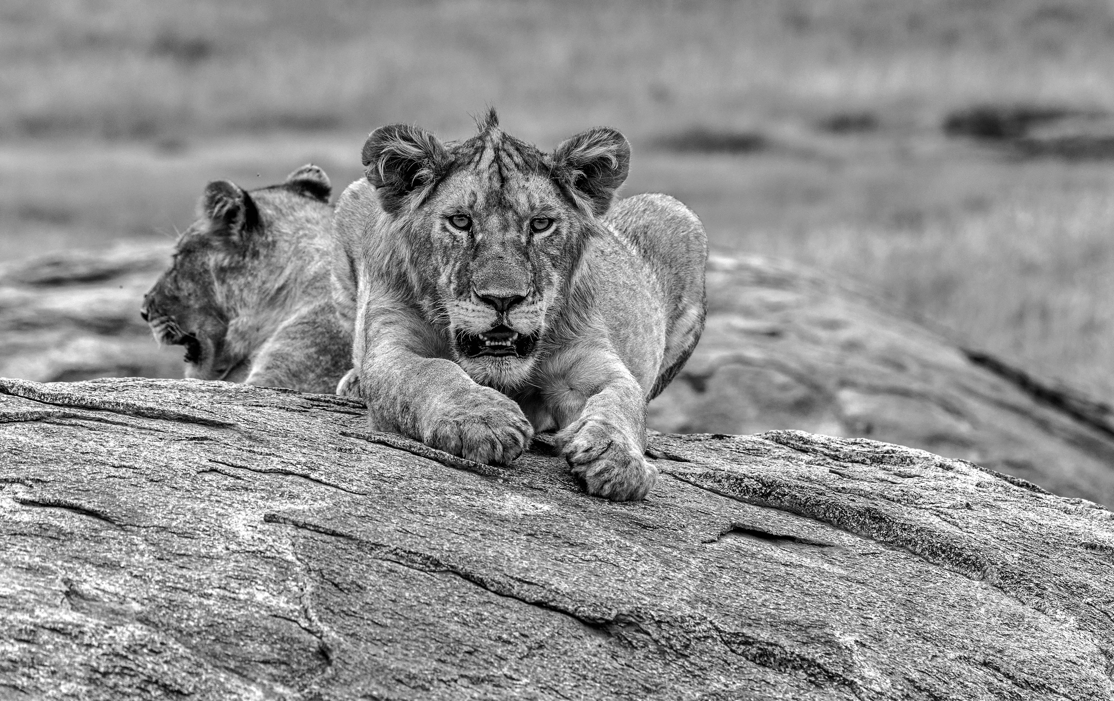 Tanzania 2015 - B&W