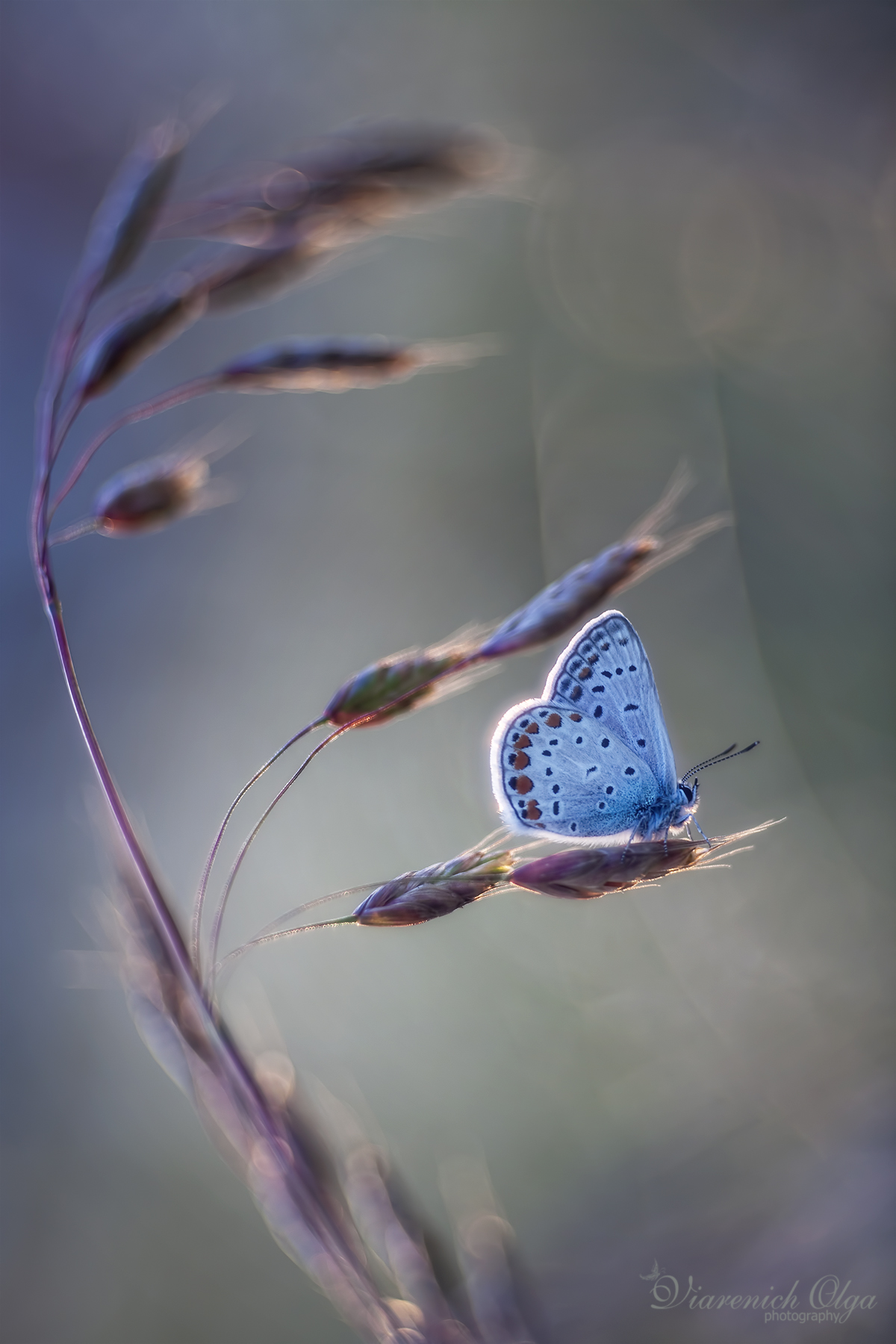 per ognuno il suo tramonto
