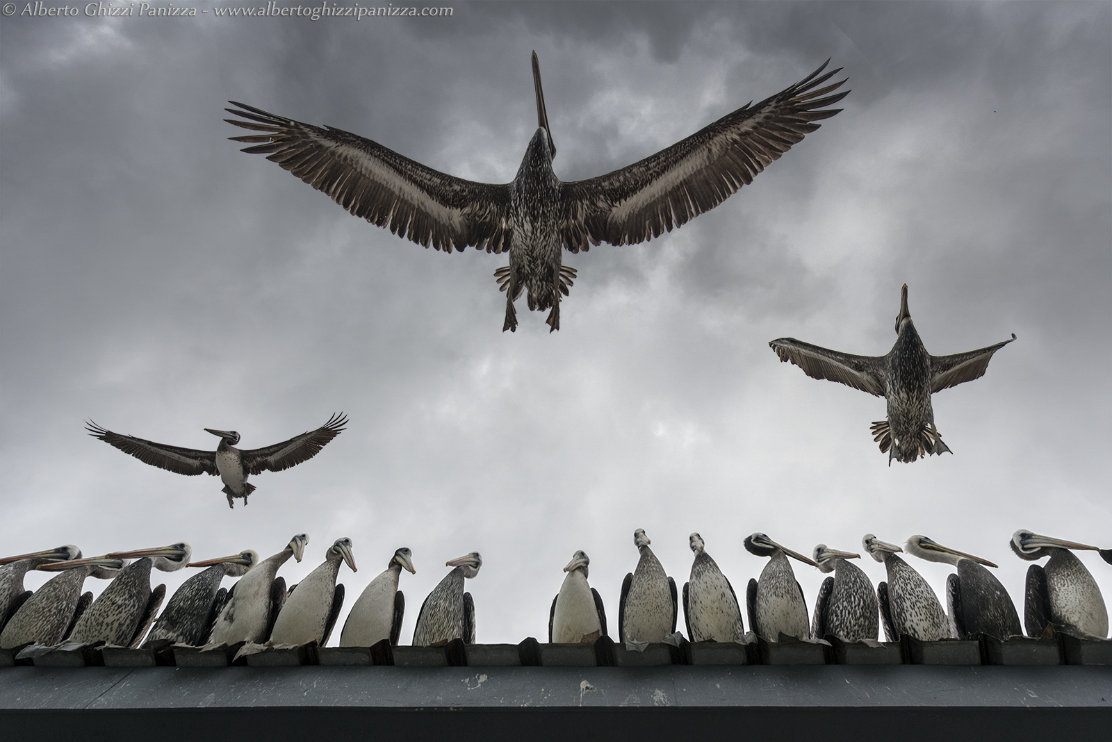 At my signal ... Bombardatelo!