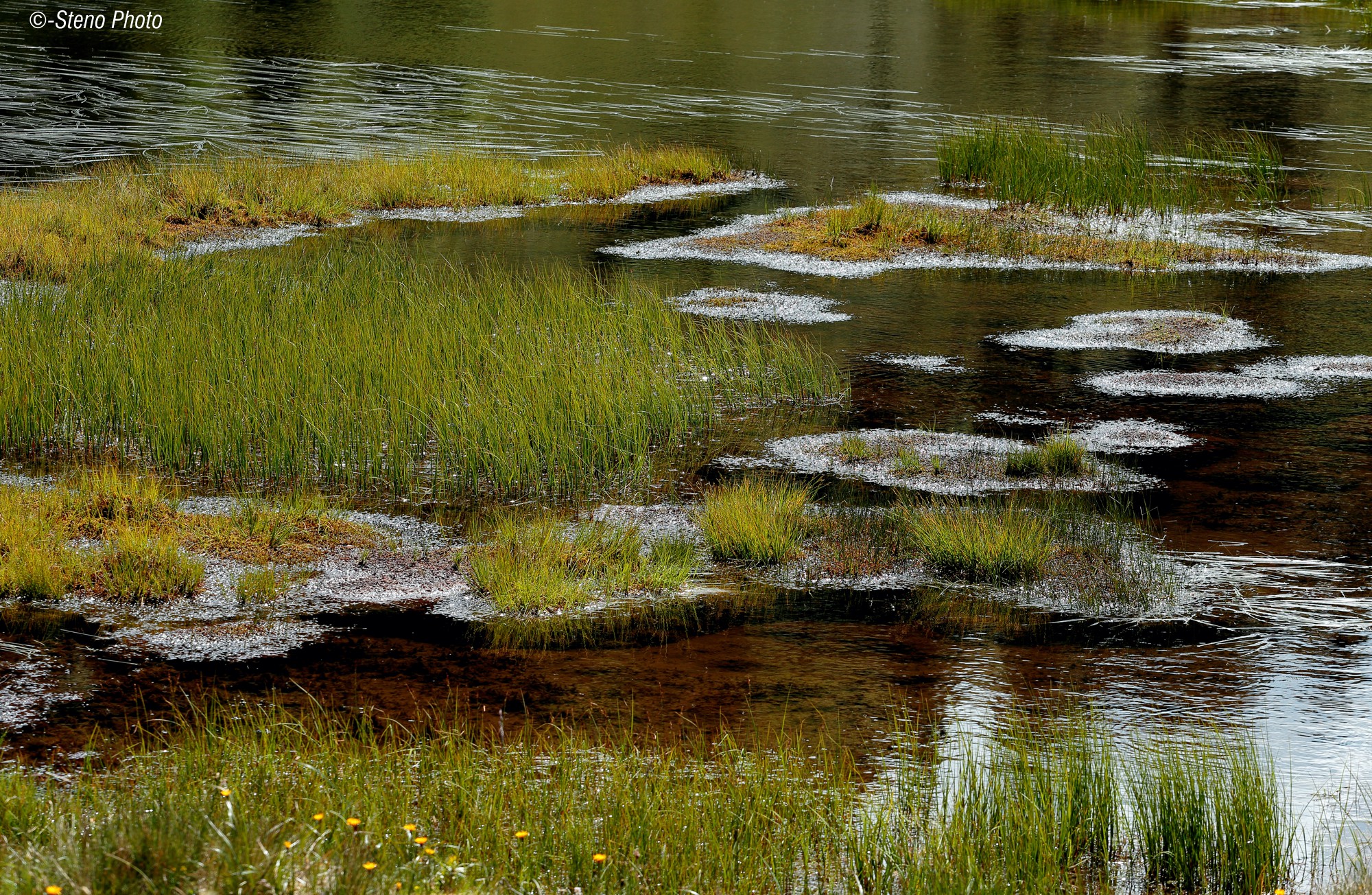 Riflessi in controloluce