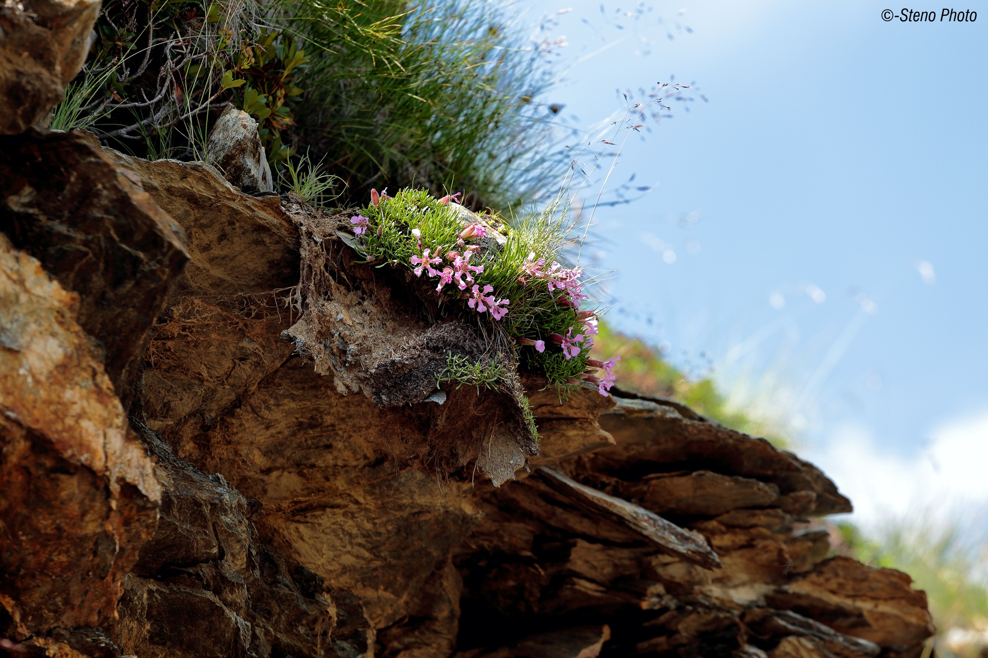 Ingresso di una galleria di guerra
