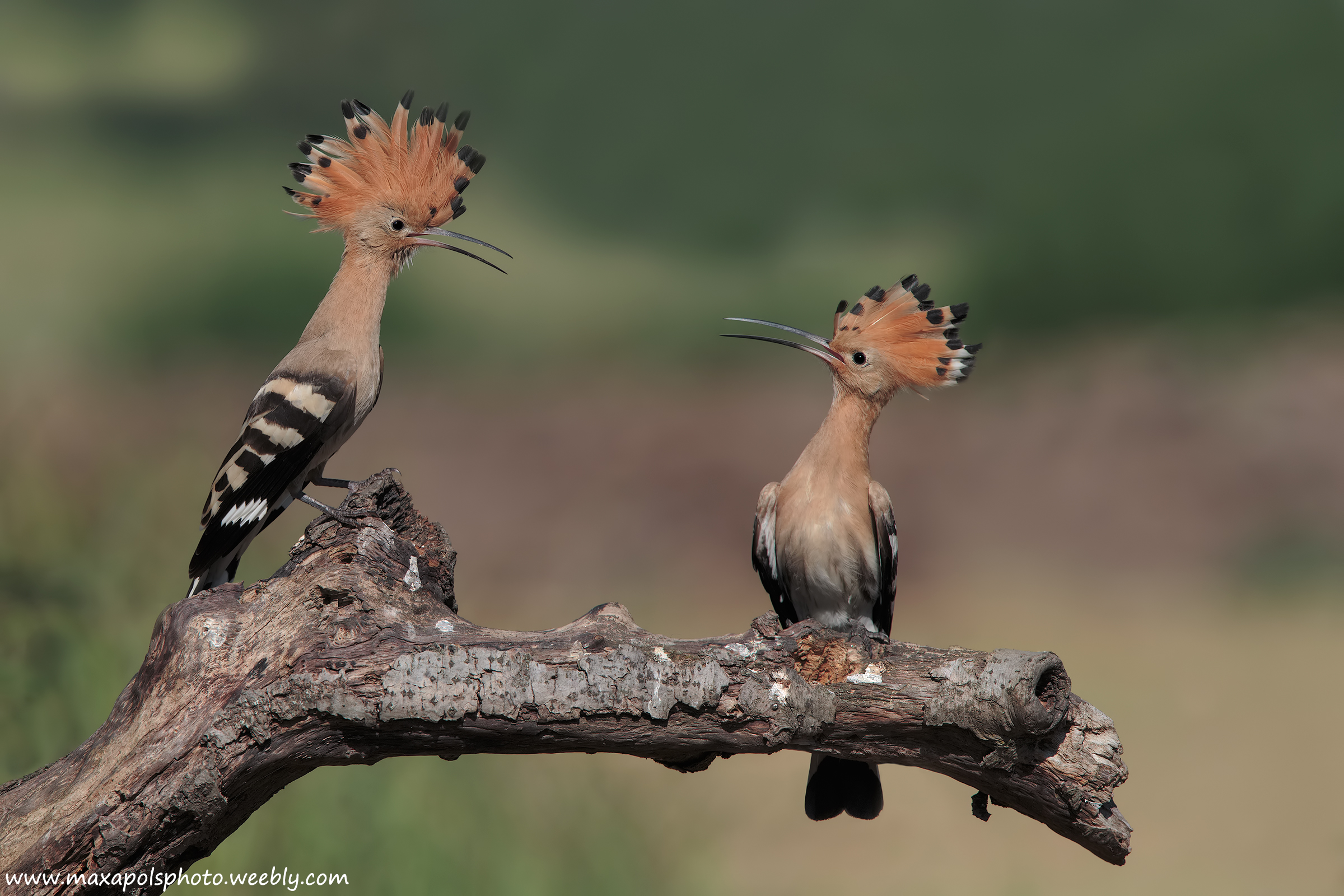 heated discussion ...