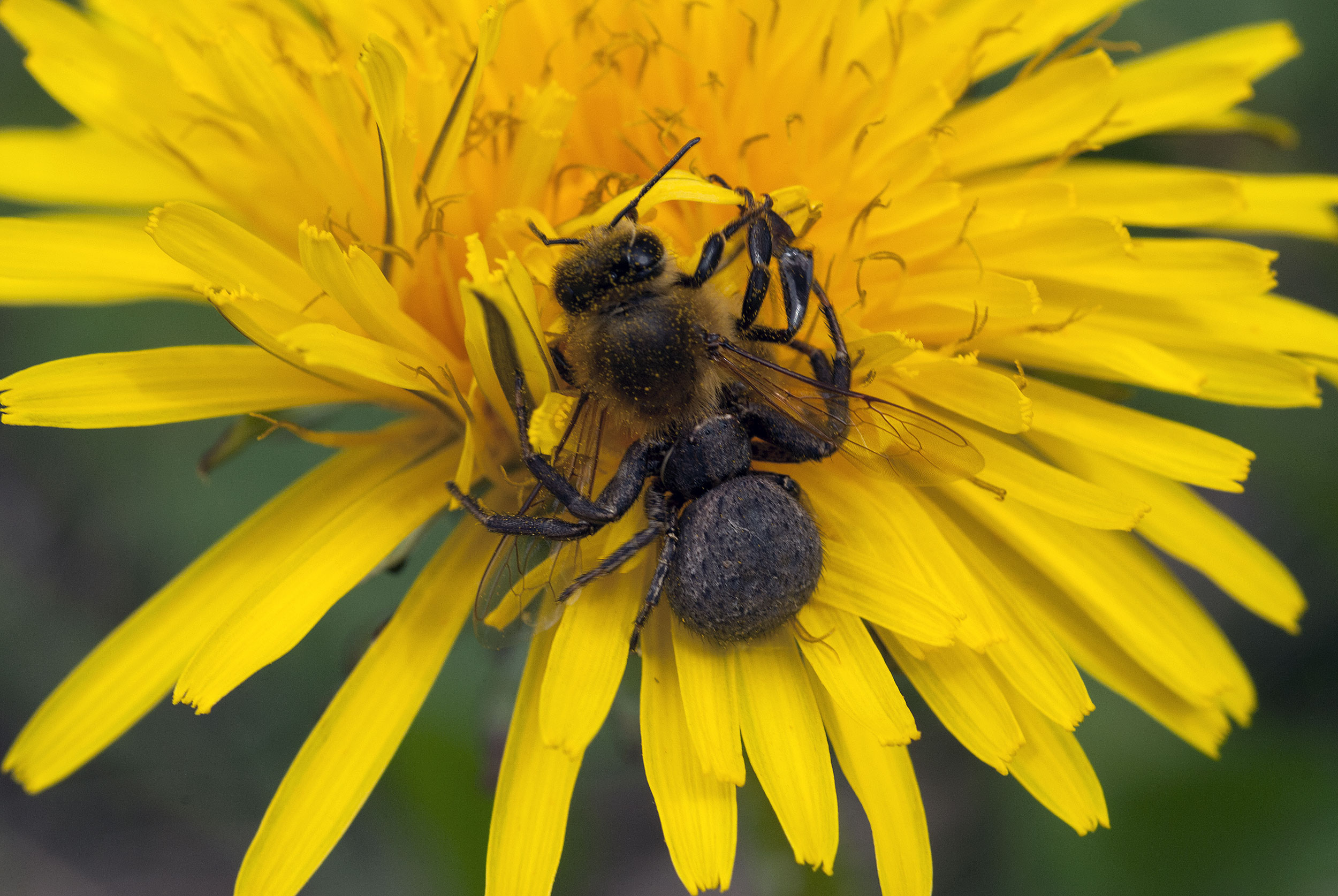 The struggle continues