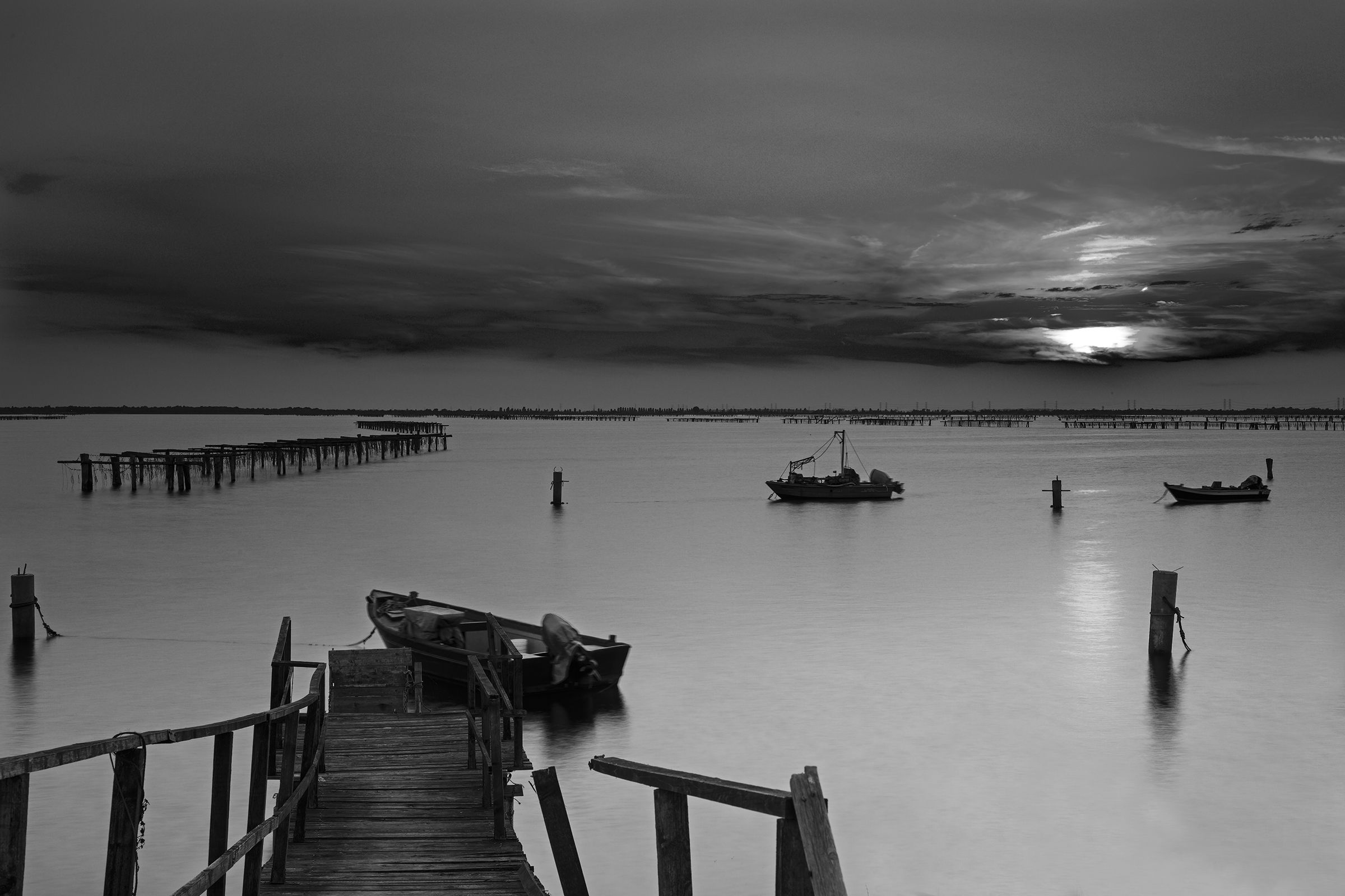 Sacca Scardovari B / W