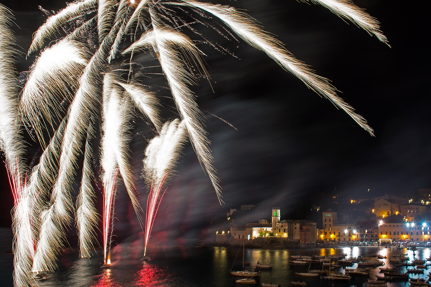 Scie luminose in baia