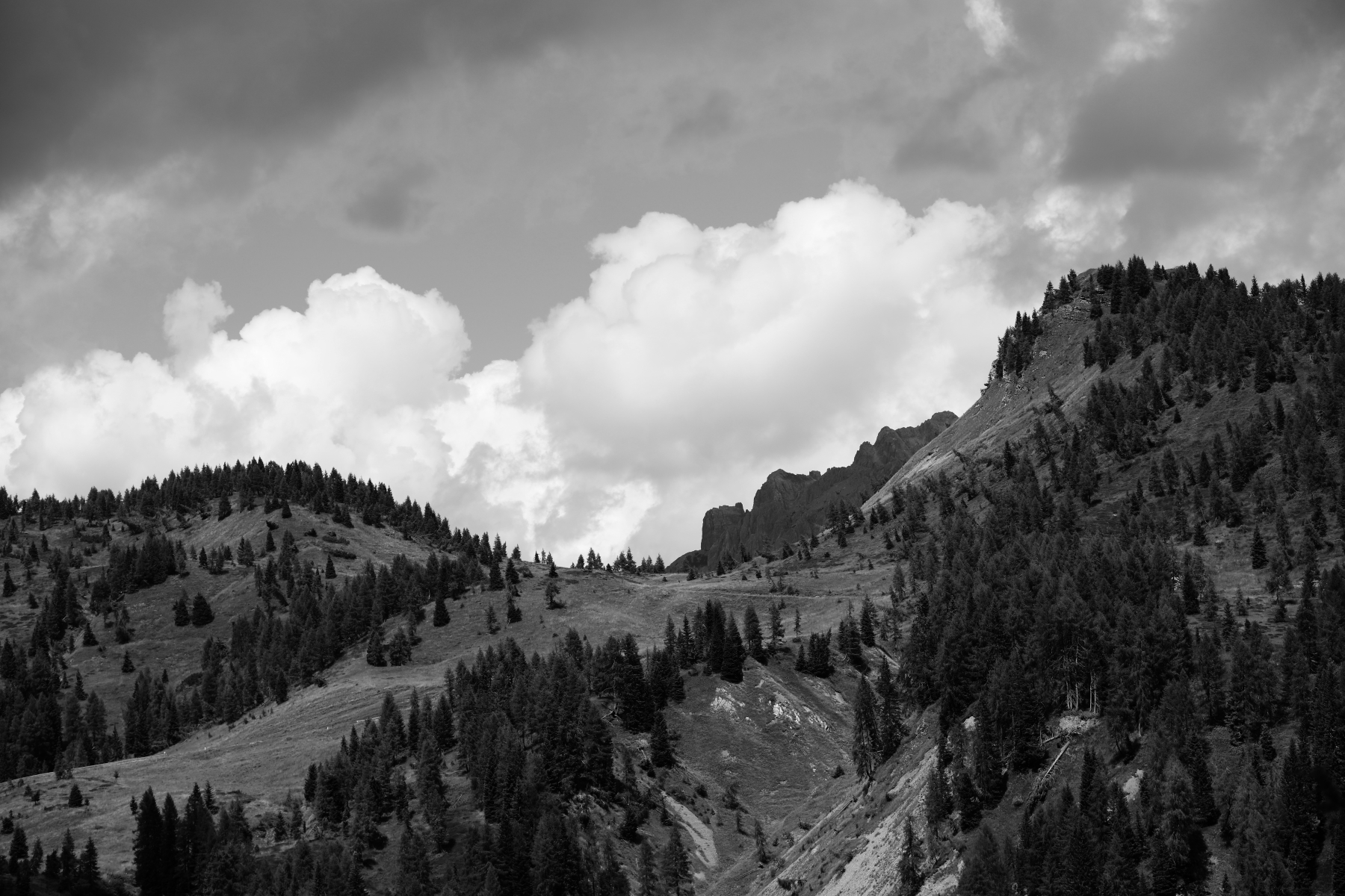 Plateau of Casera Razzo BL