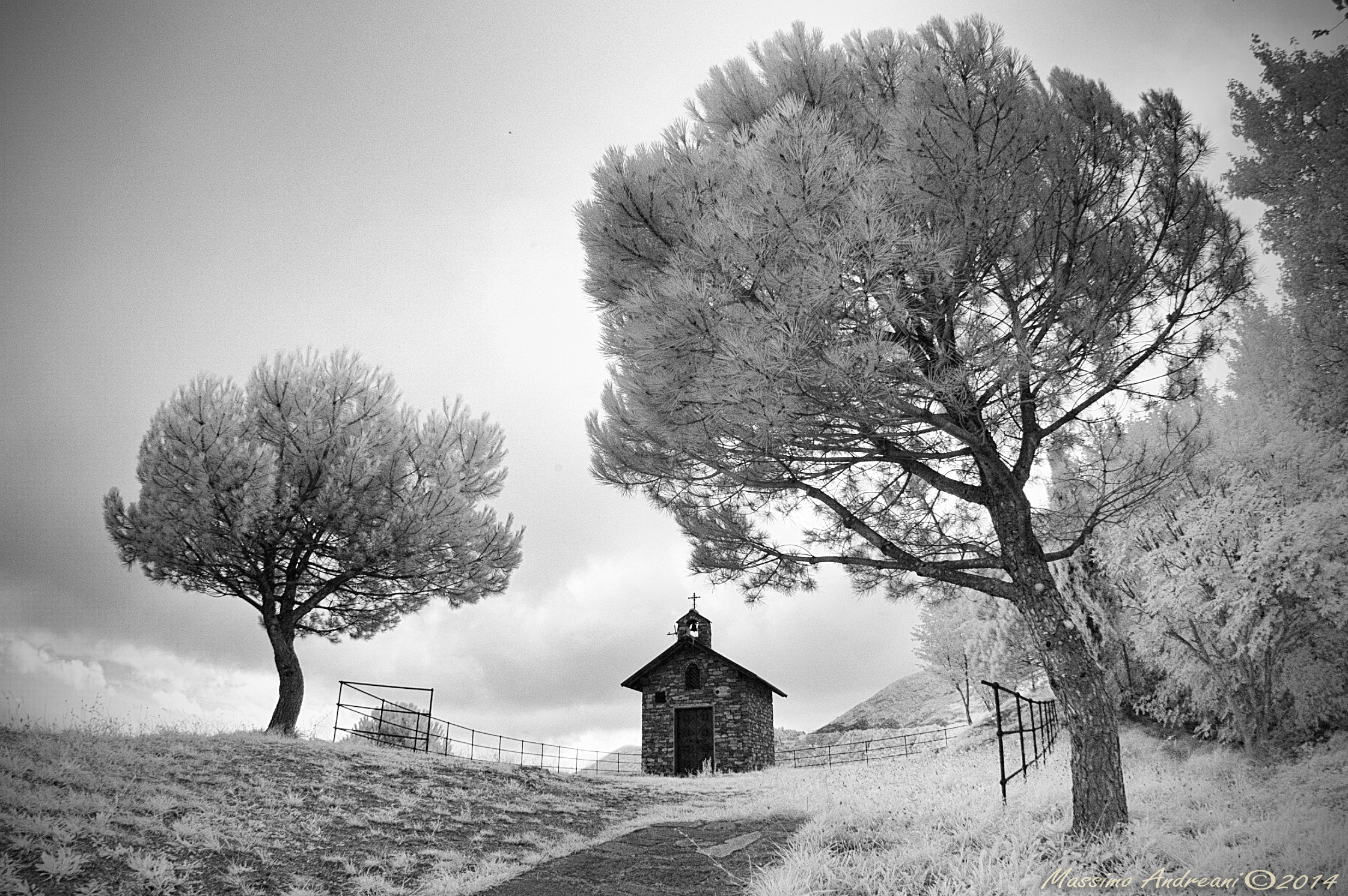 House of Alpine, Sori