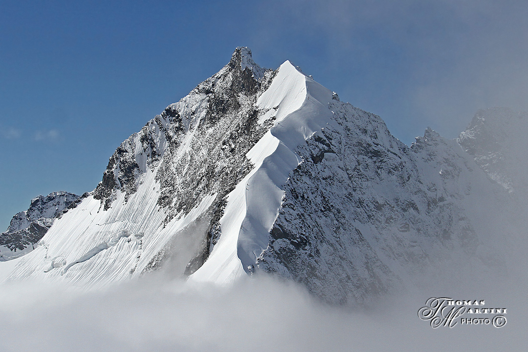 Estetica cresta Biancograt al Bernina