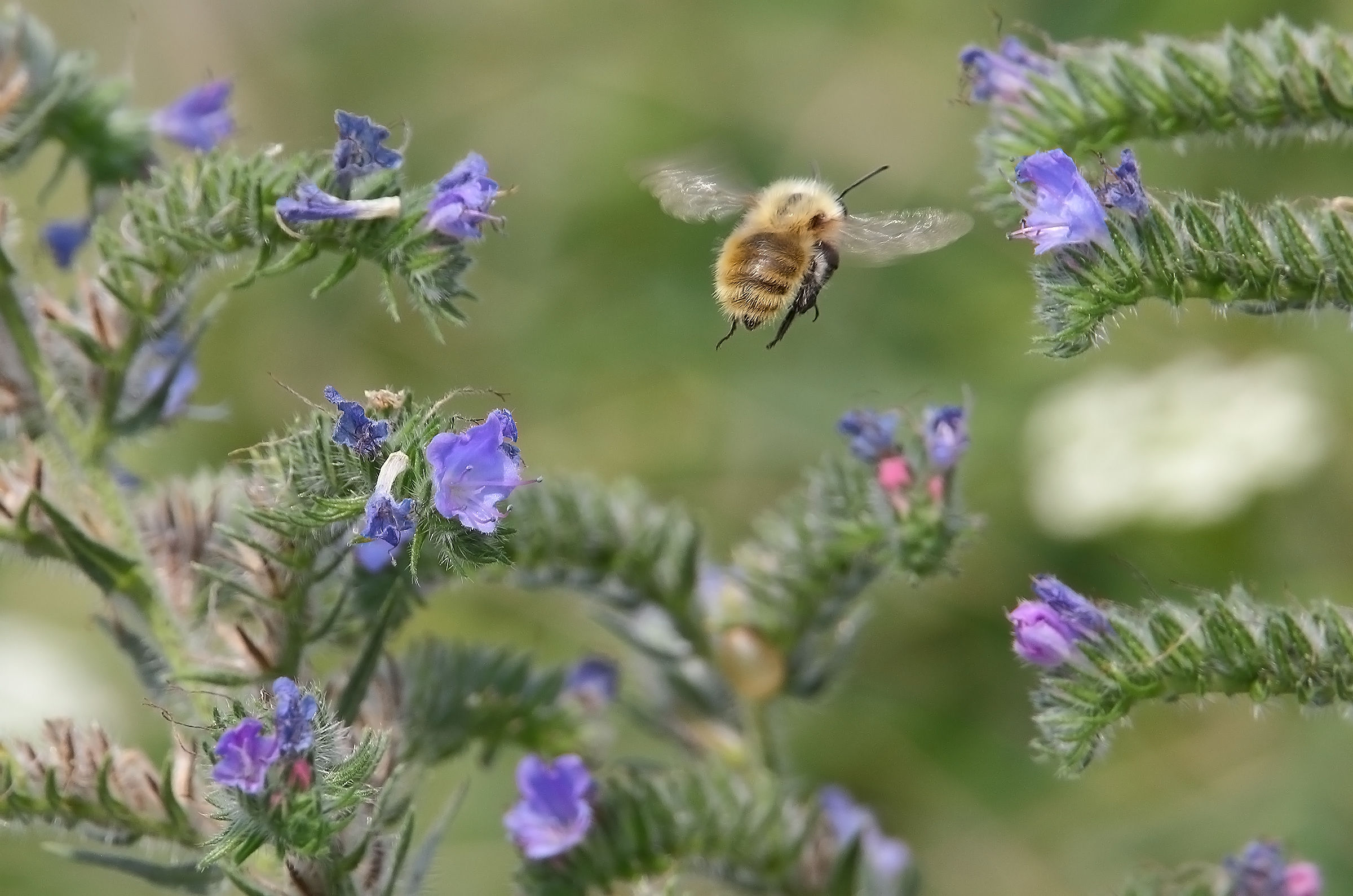 Mi hai stufato....me ne vado