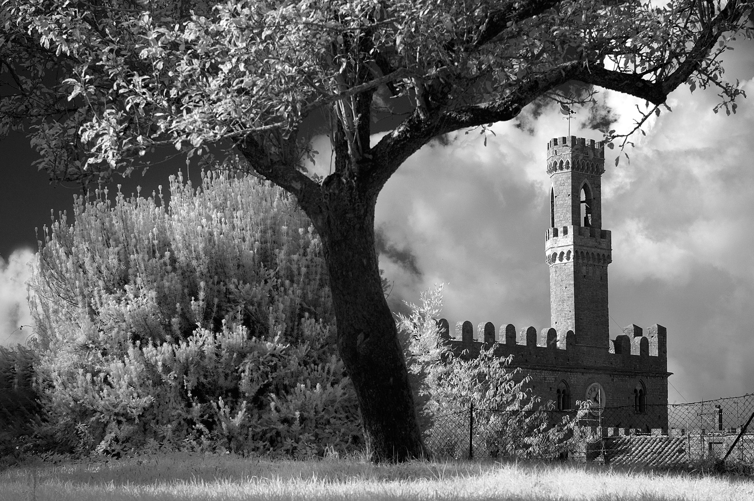 Palazzo dei priori di Volterra (infrared)