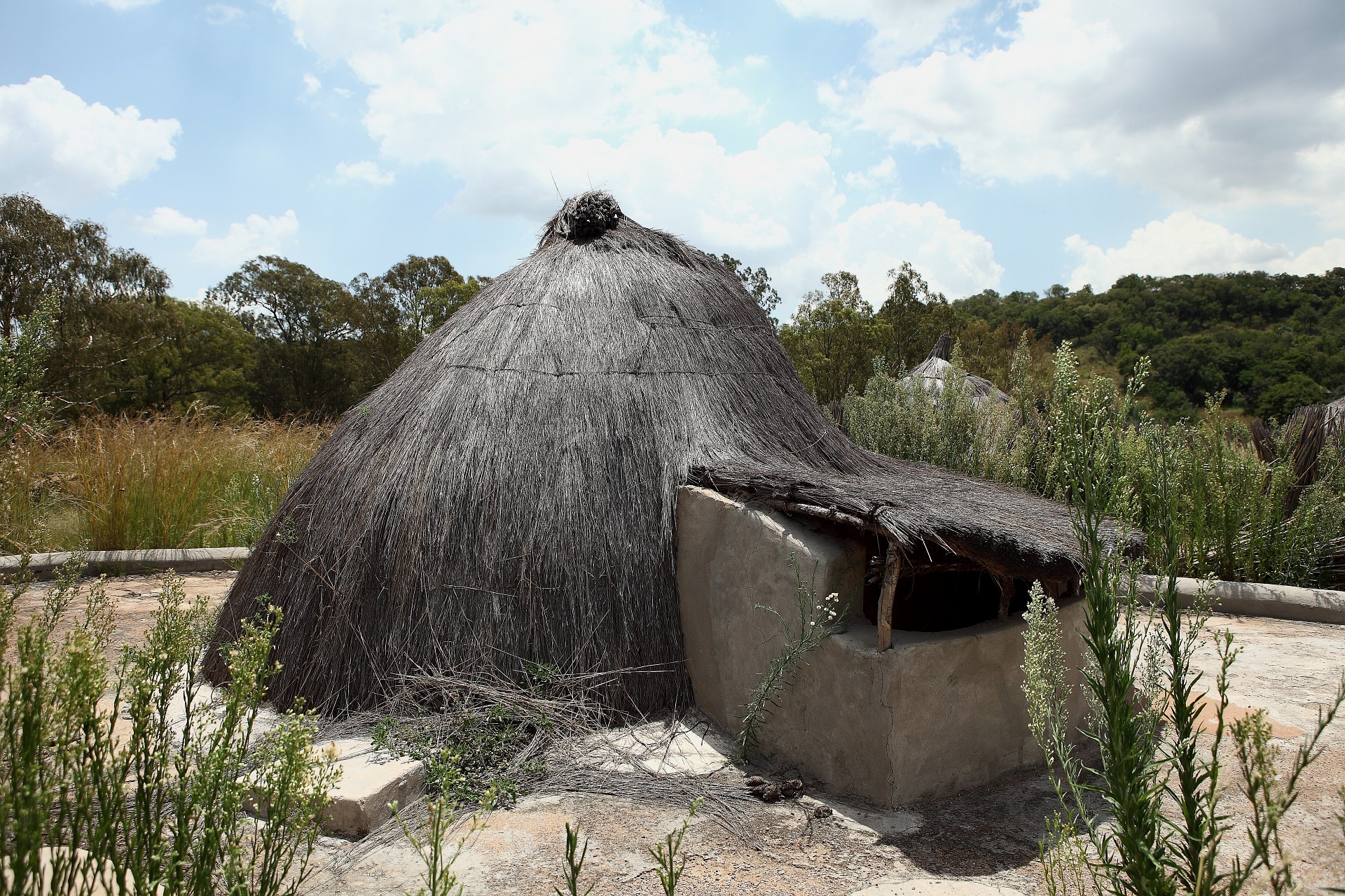 dwelling tribe zulu '