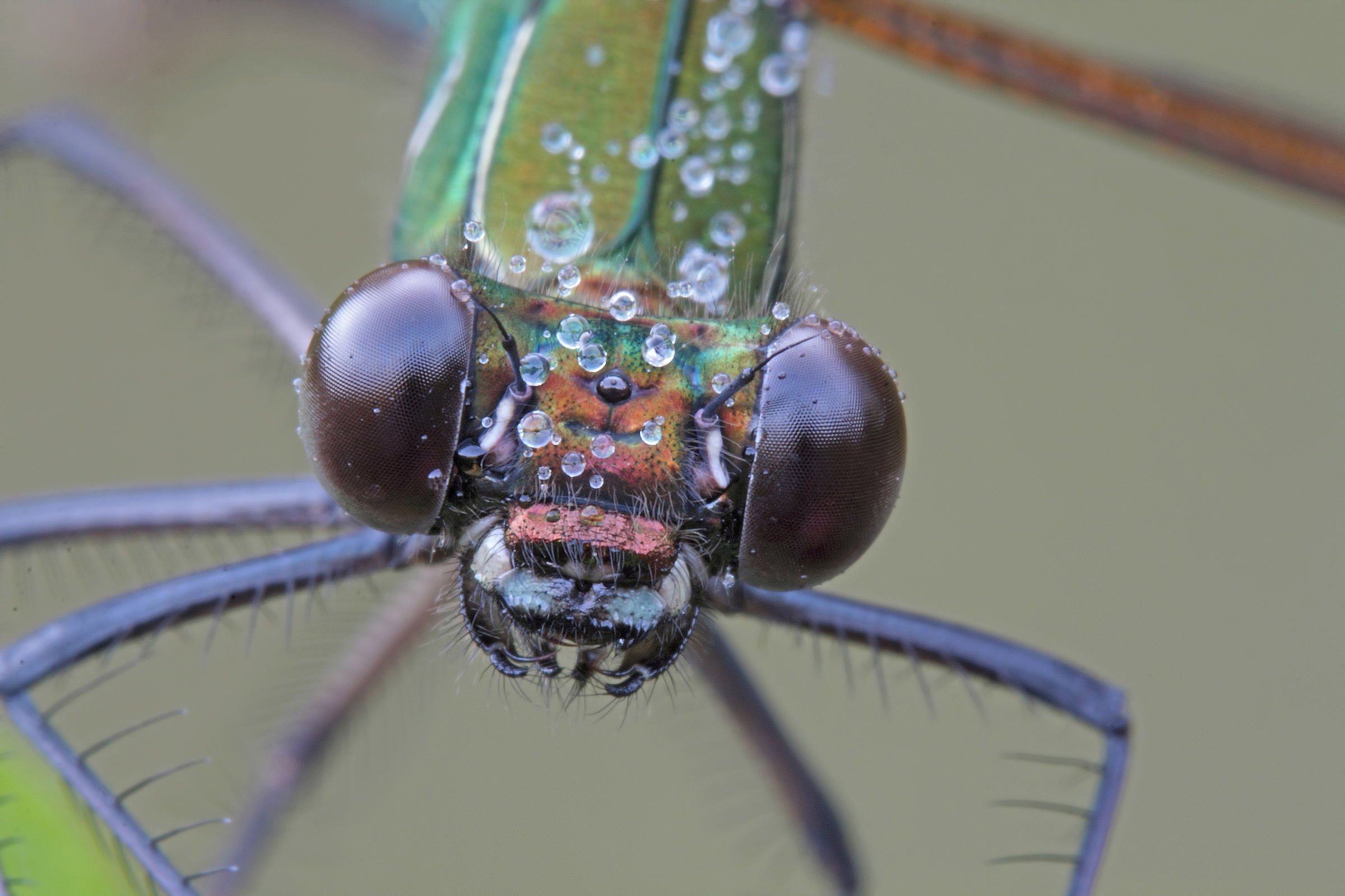 A Smile For The Press !!!