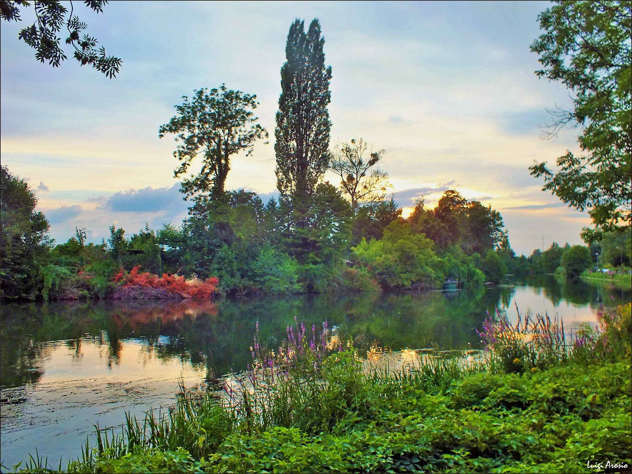 It is evening by the river