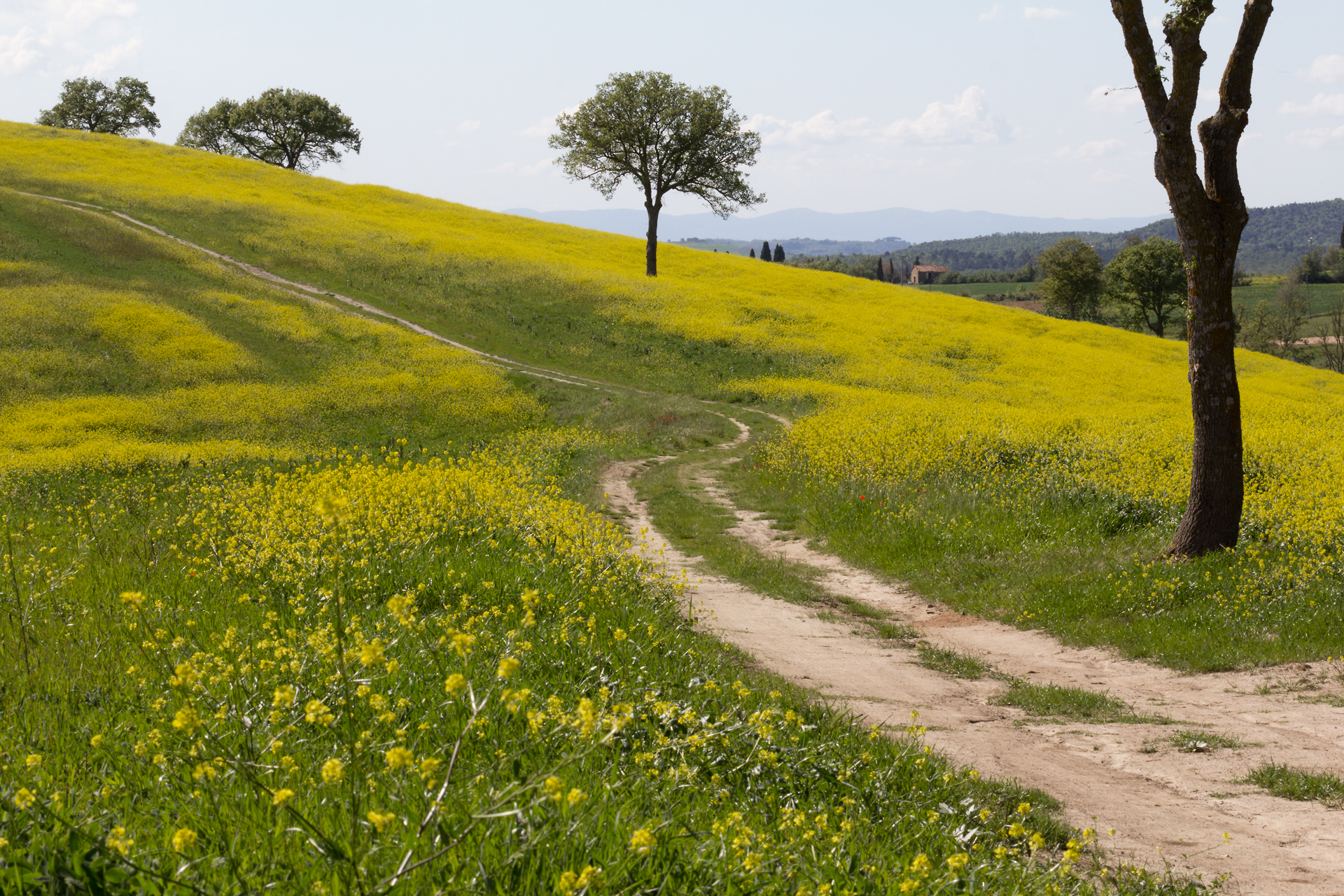 Tuscany Val d'Orcia