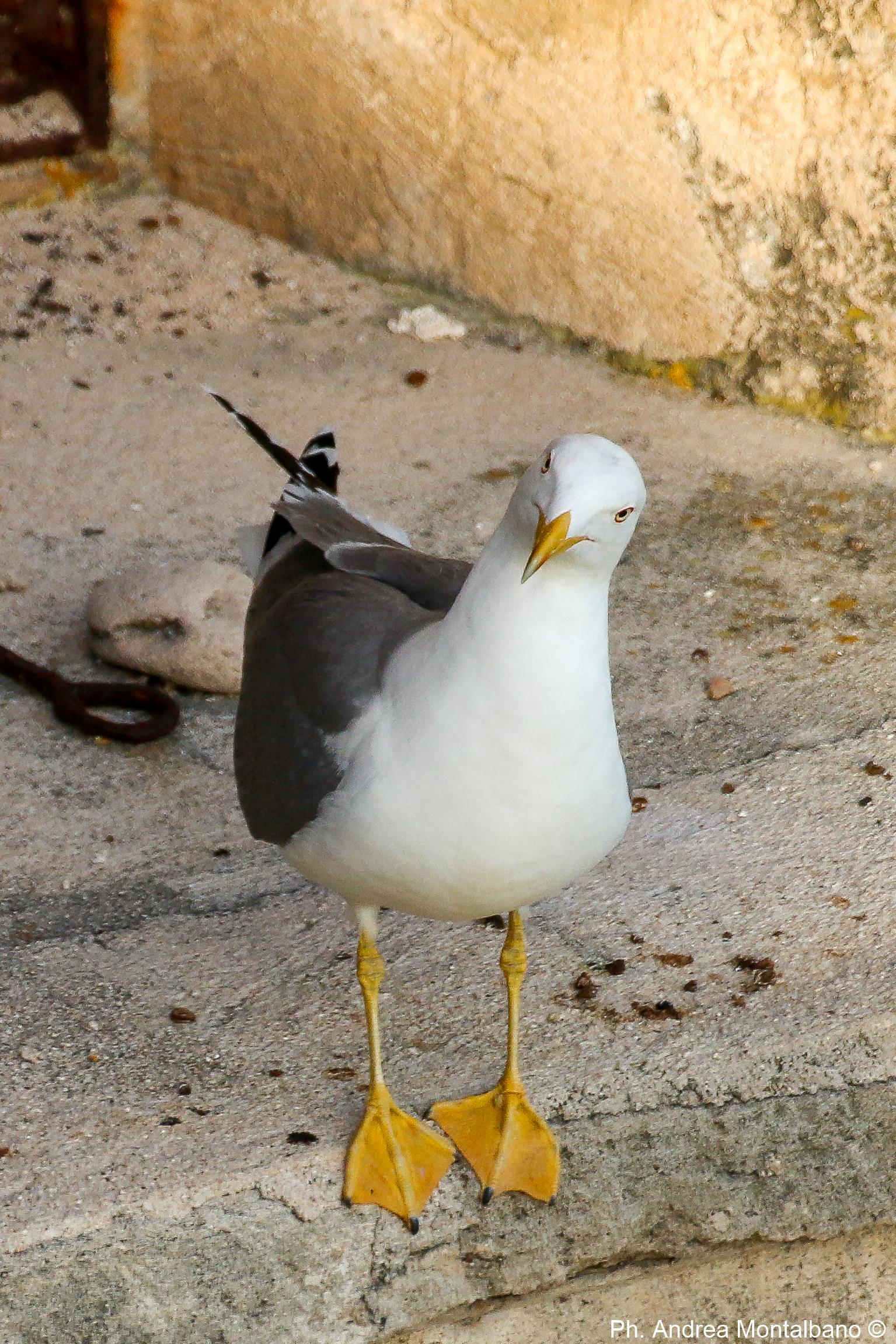 c'è qualche problema?