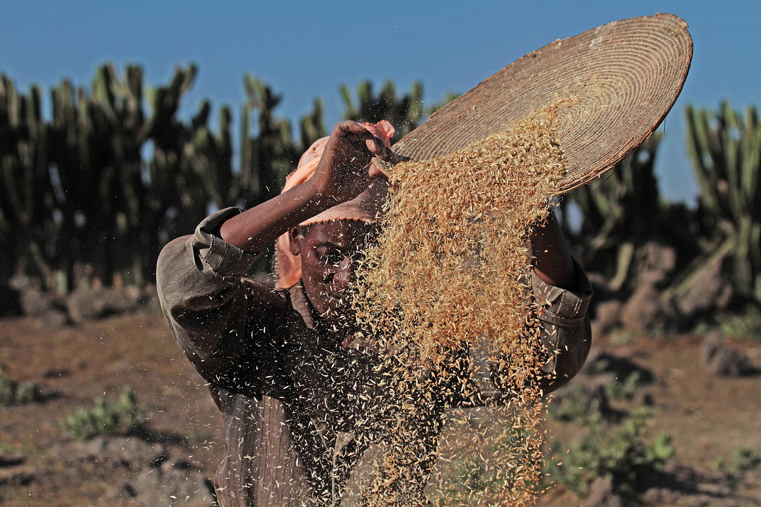 Agricoltura di sopravvivenza in Etiopia