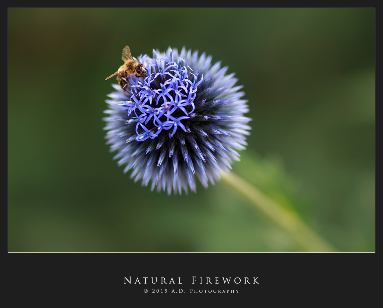 Natural Firework