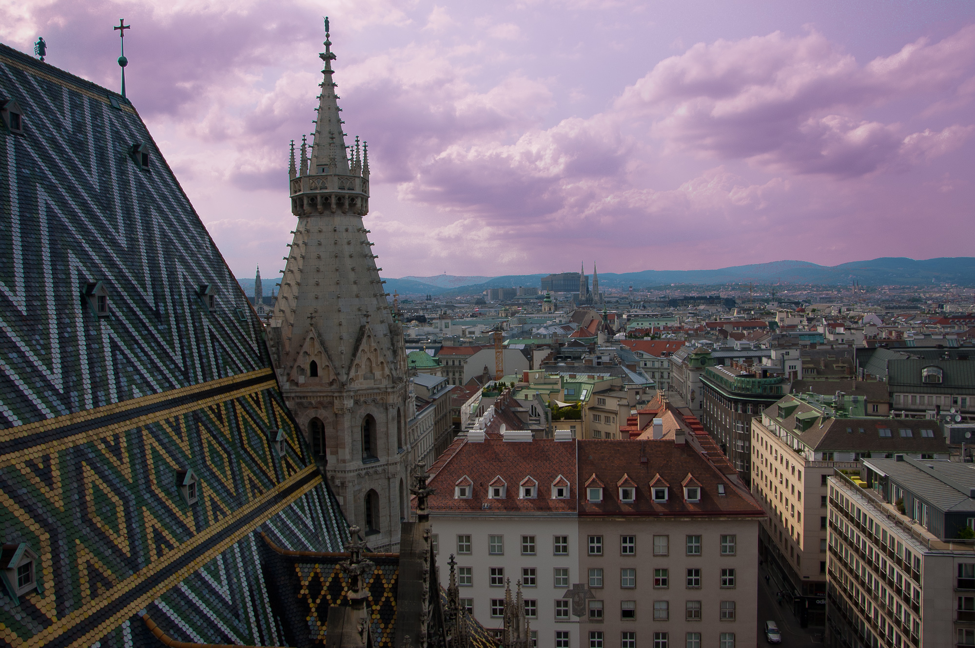 The roofs of Vienna