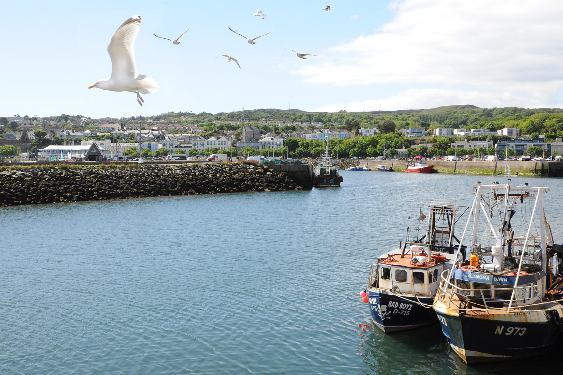 In the port of Howth