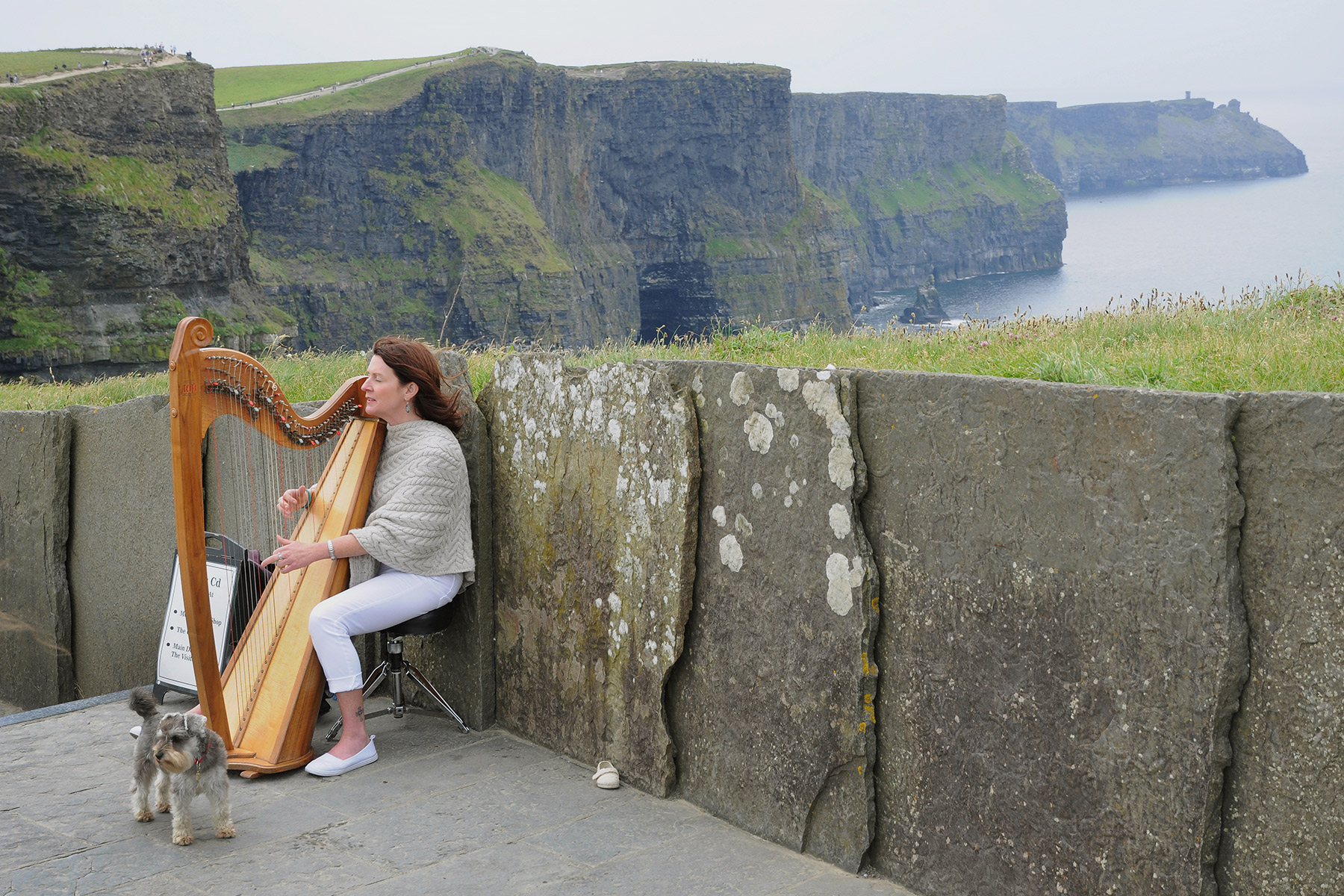 Cliffs of Moher