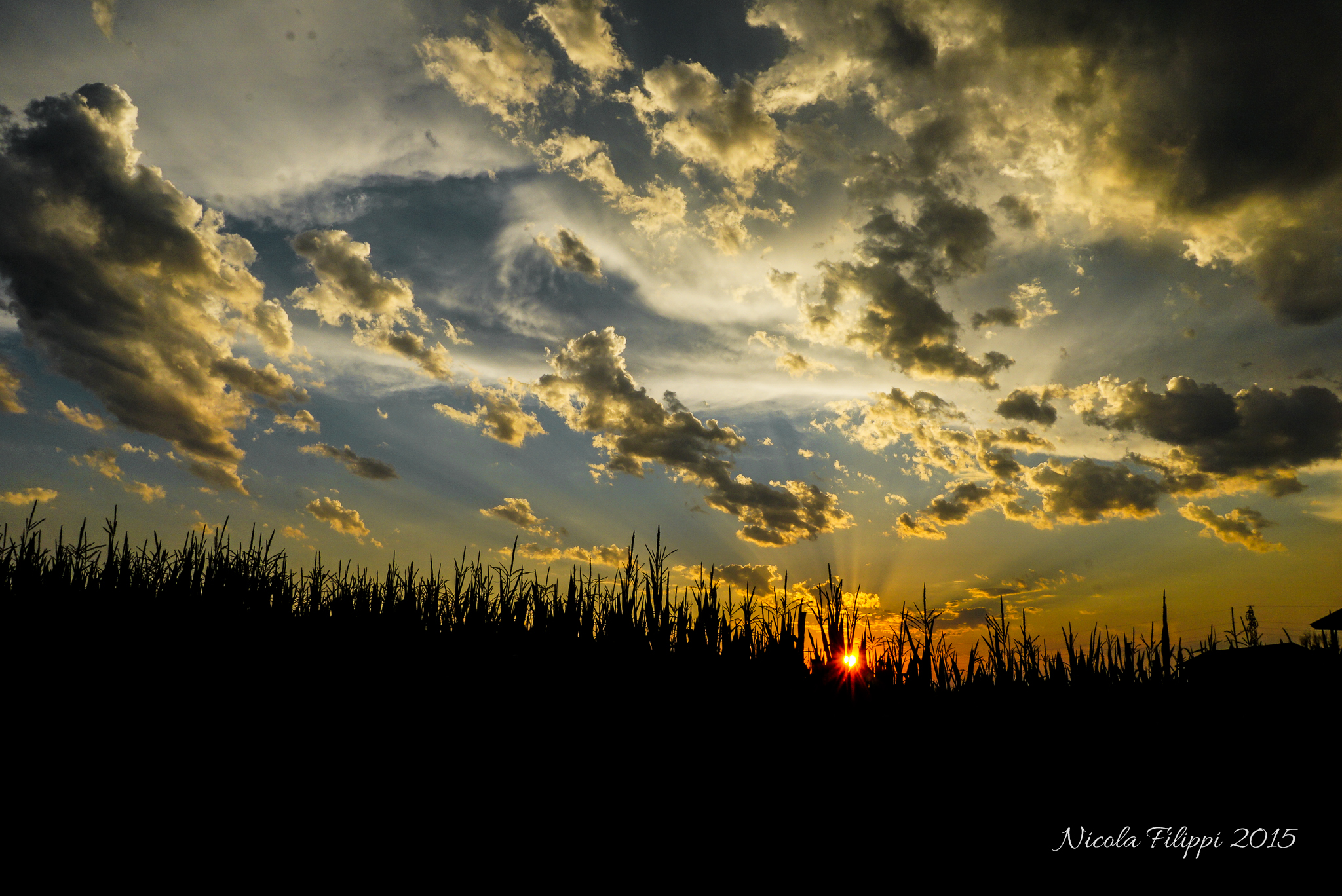 Tramonto sul granturco