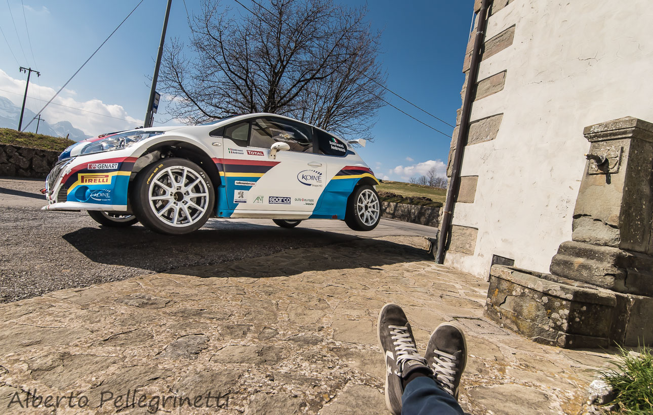 The child and the lion