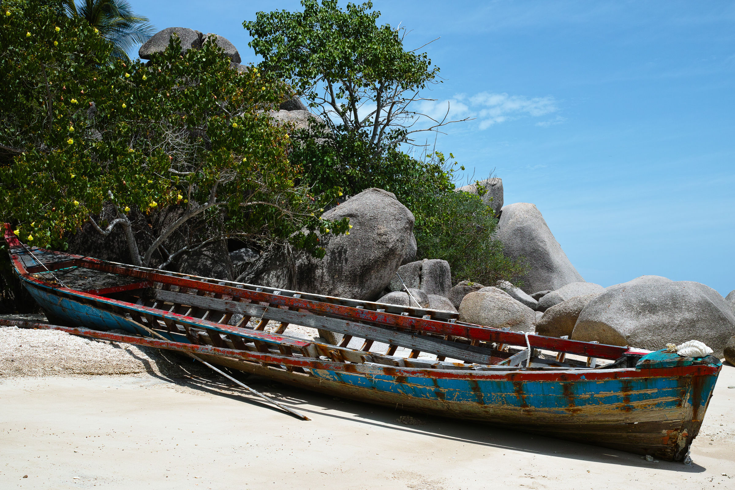 Koh tao