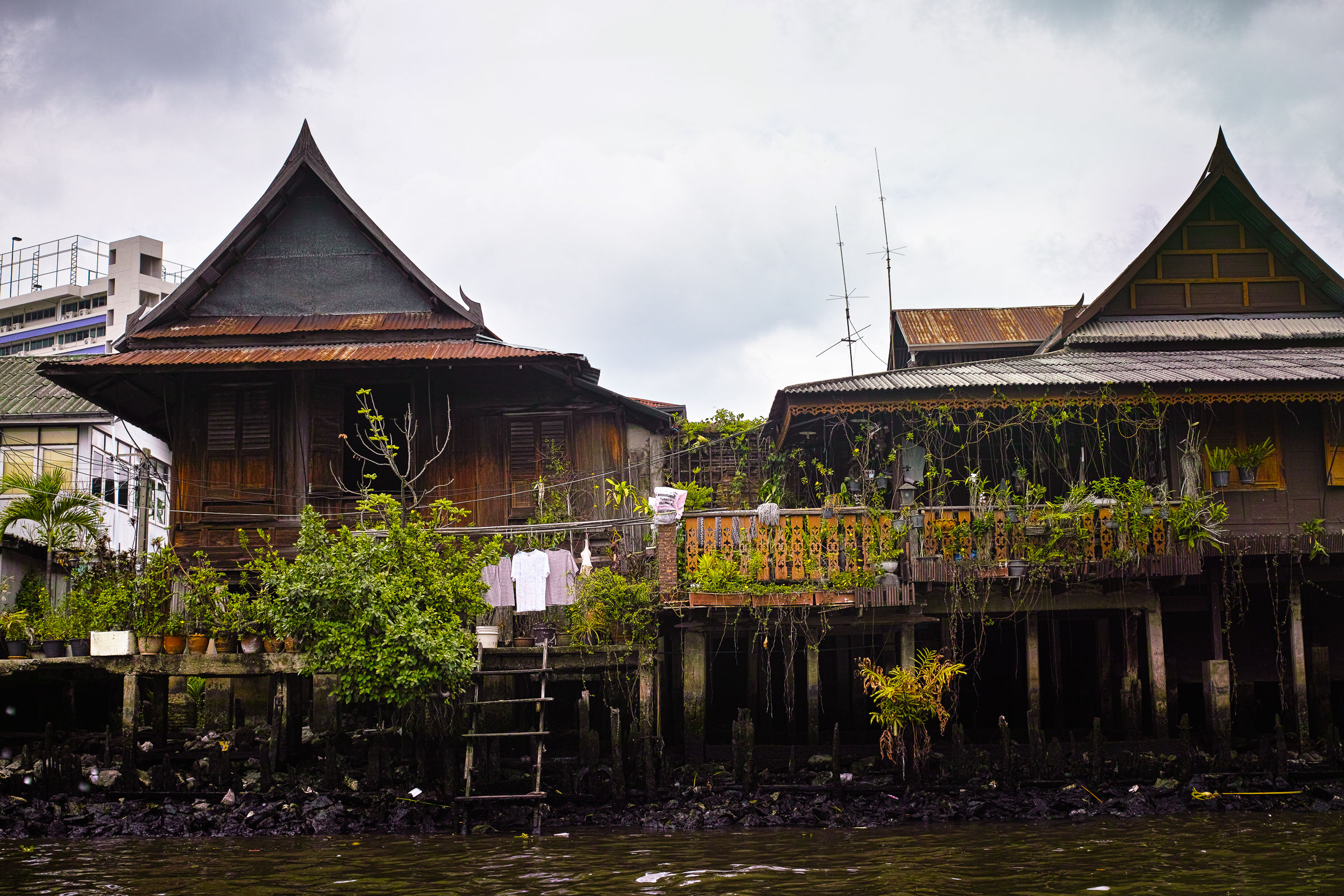 Abitazioni su canali di Bangkok