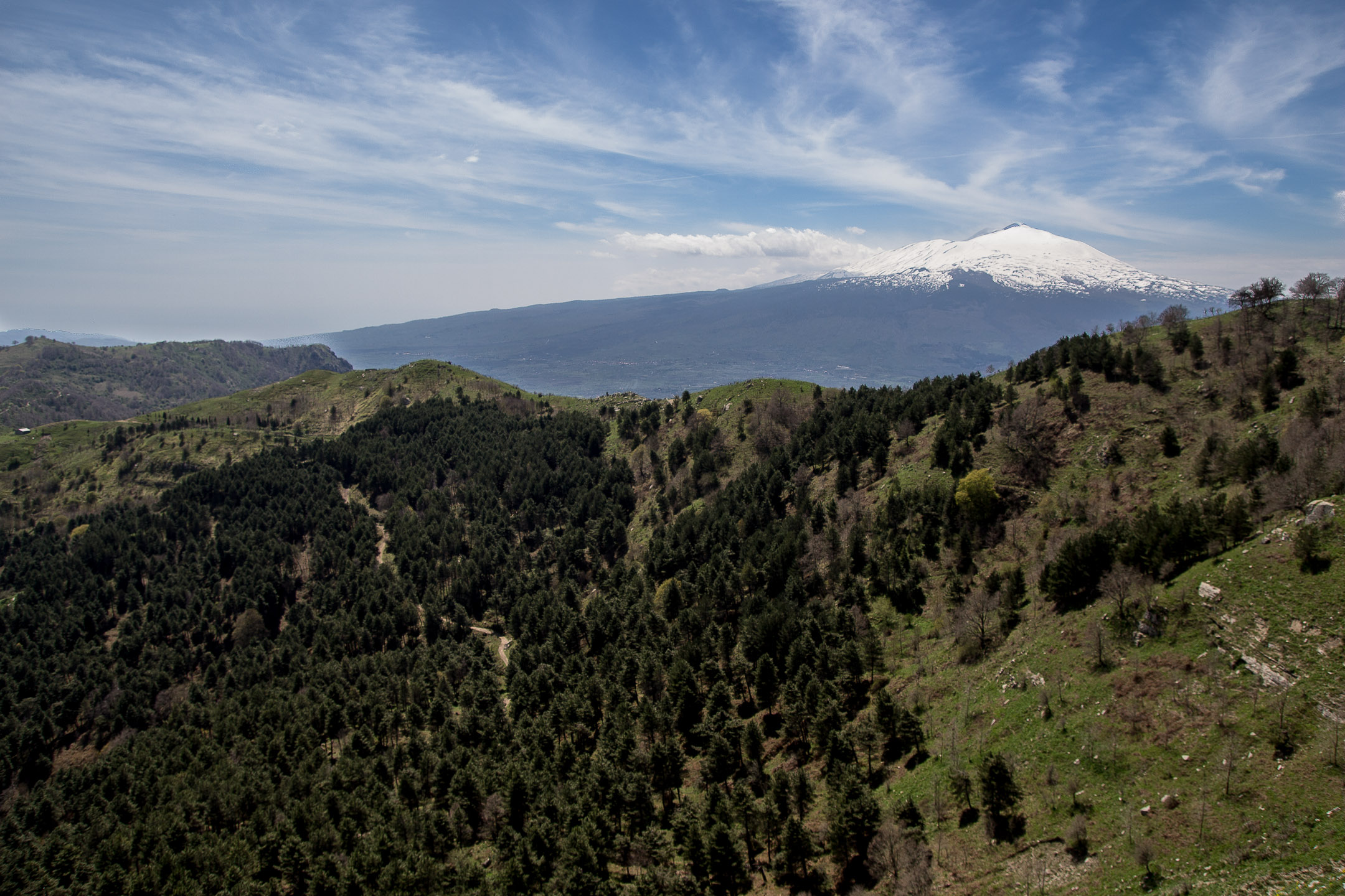 Etna dal Bosco di Malabotta