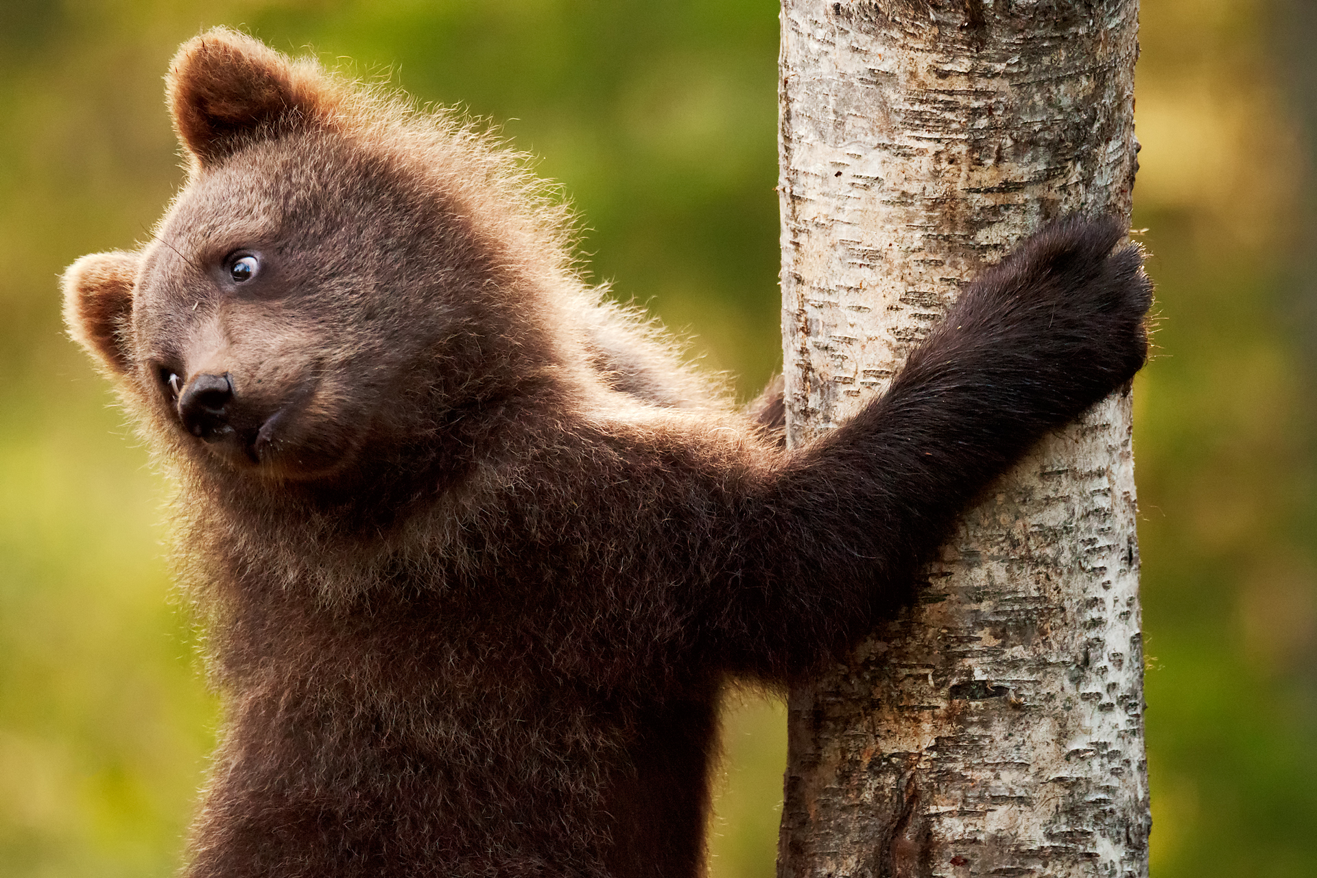 Mamma posso salire??