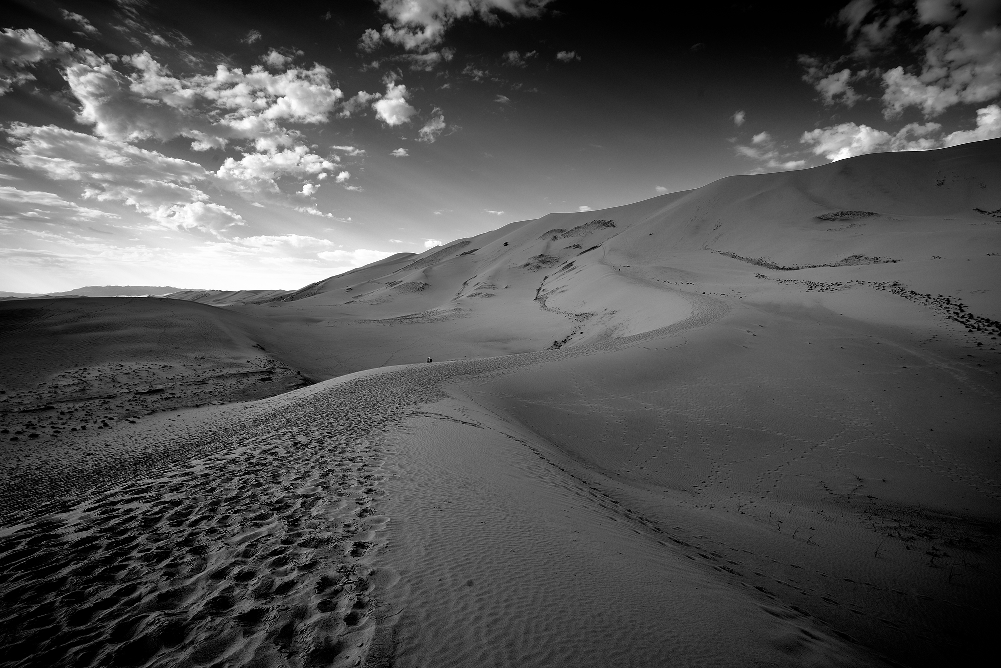 Gobi desert