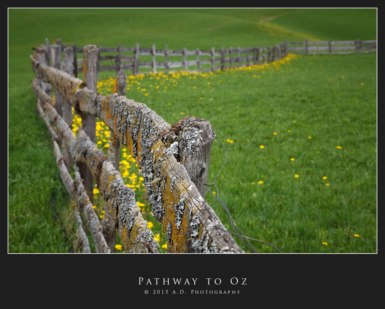 Pathway to Oz
