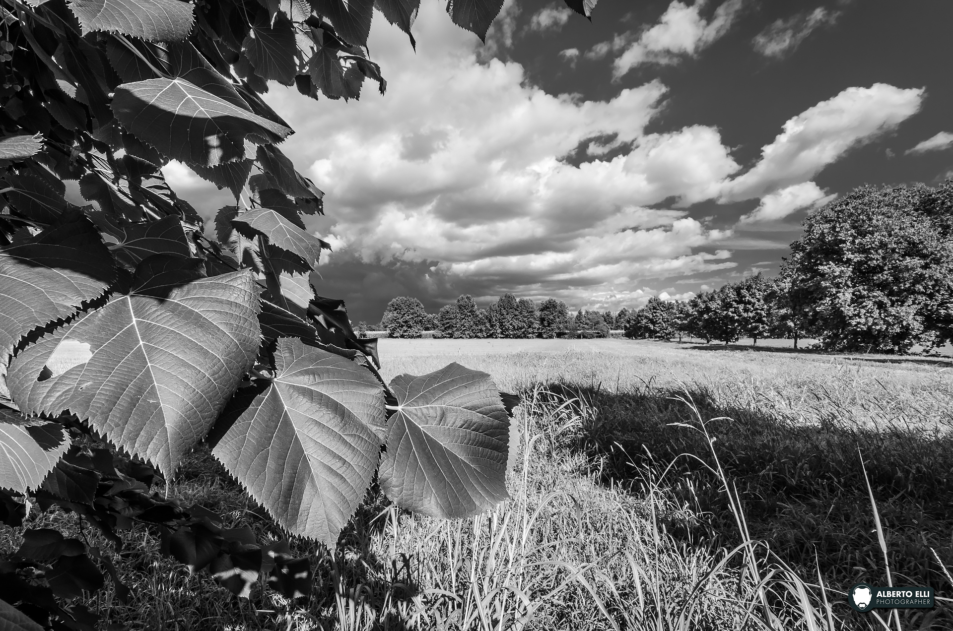 Lainate, before the storm