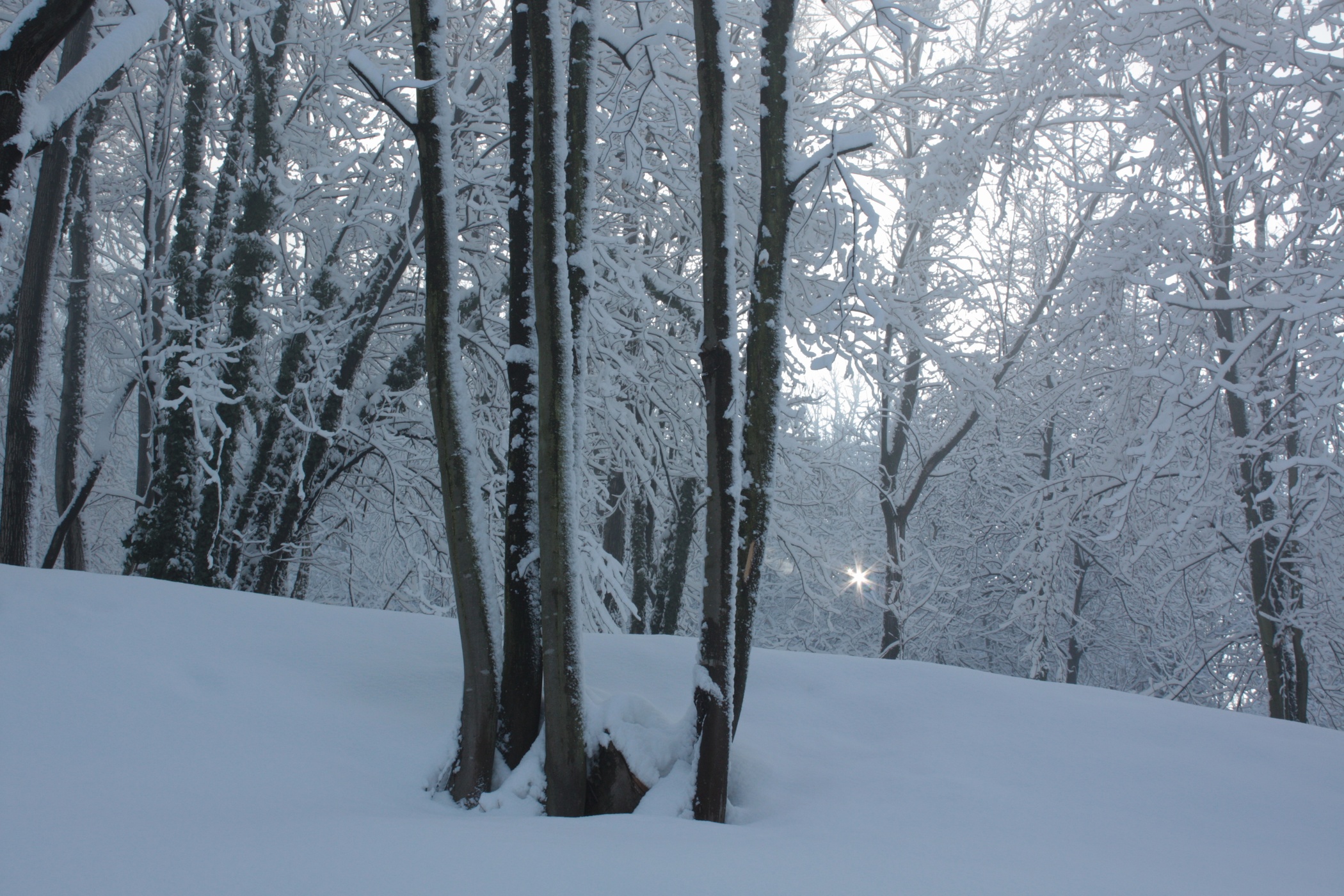 ..ma che freddo fa..