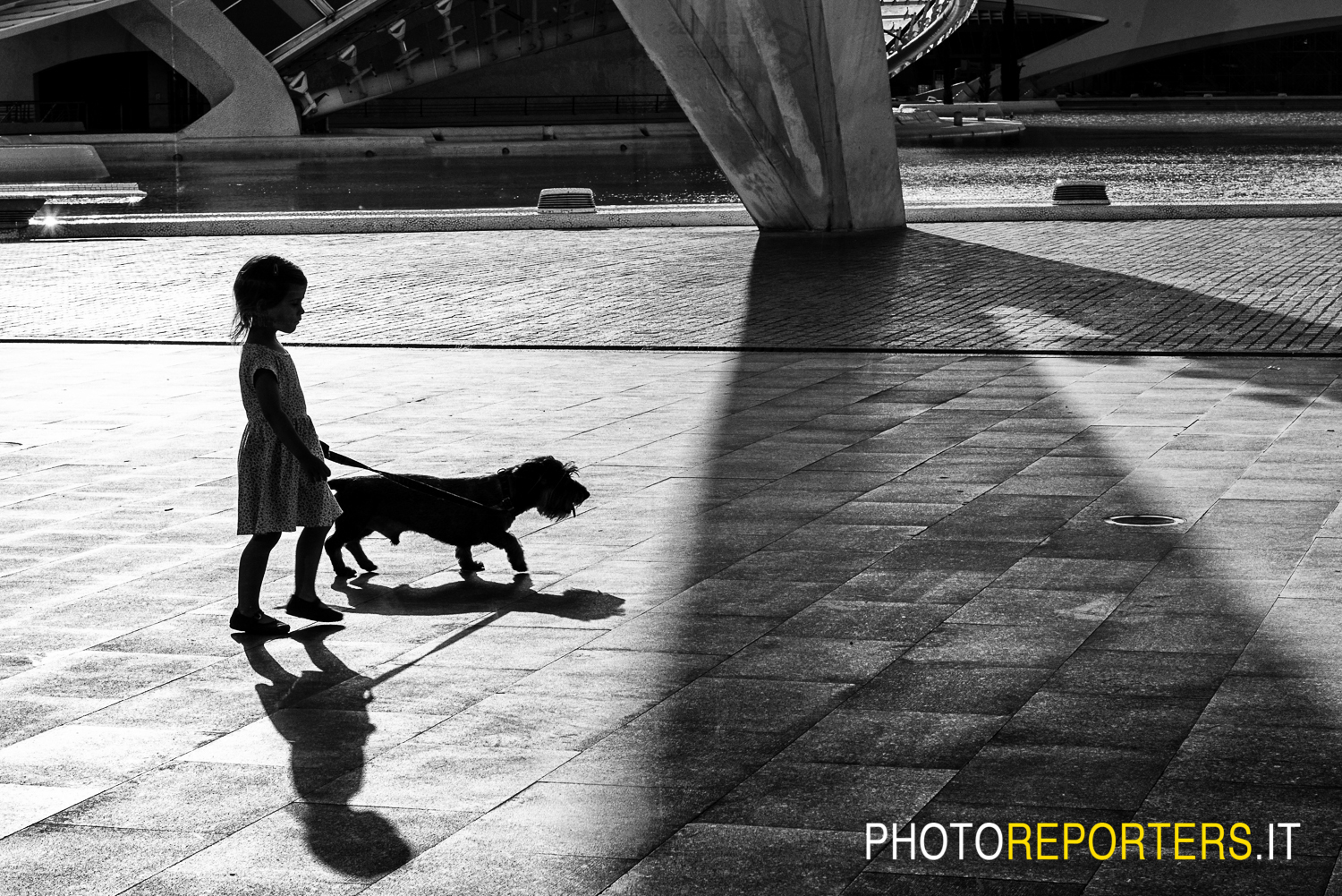 Cuccioli a passeggio...
