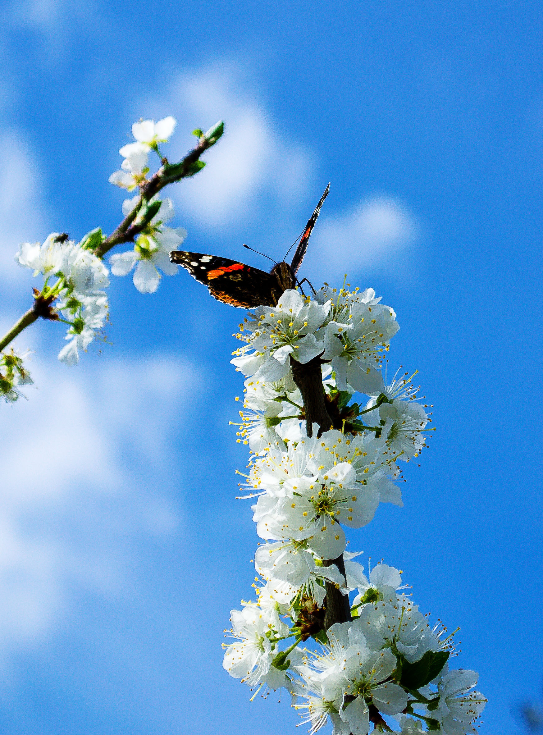 What a wonderful sight