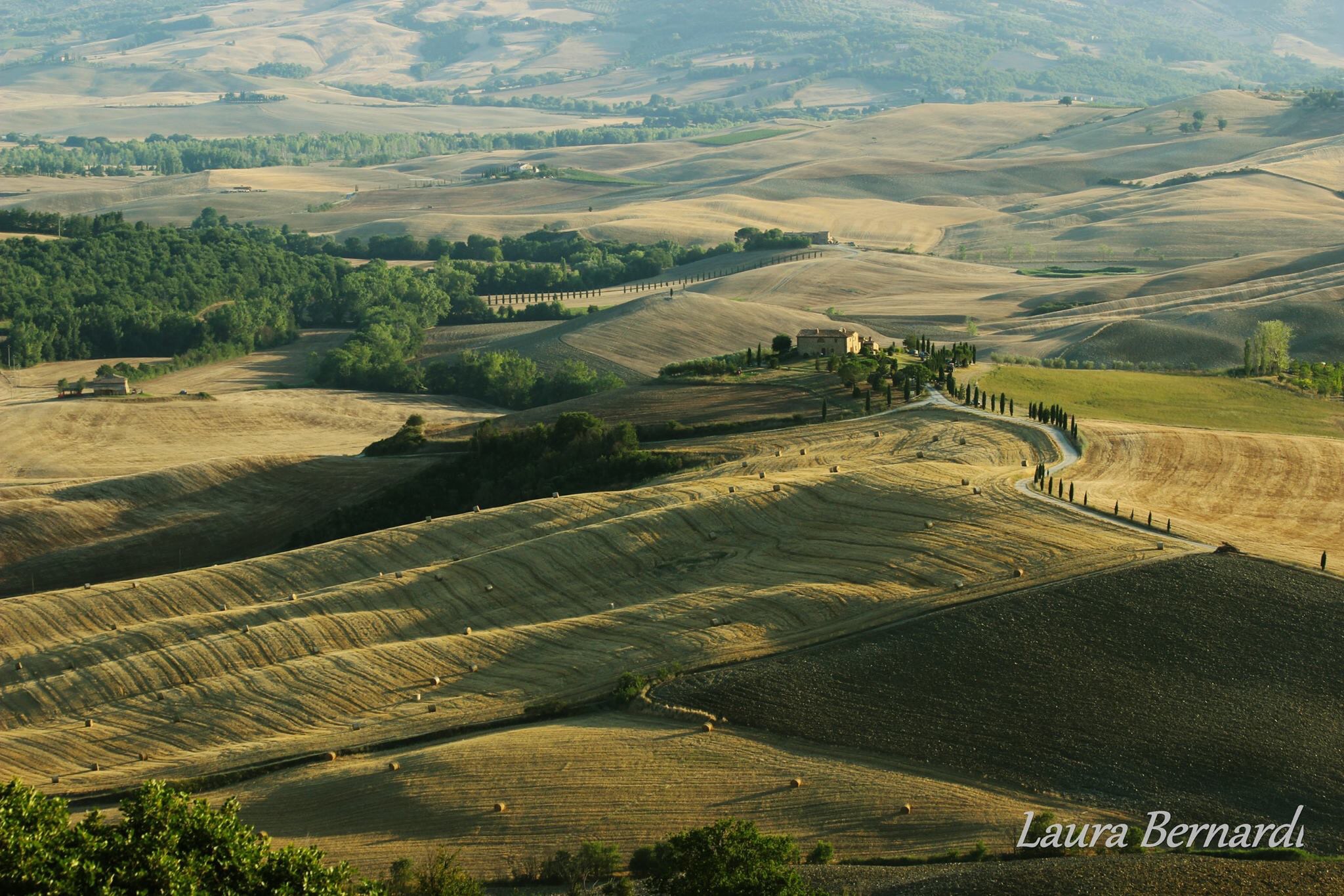 Colline Toscane